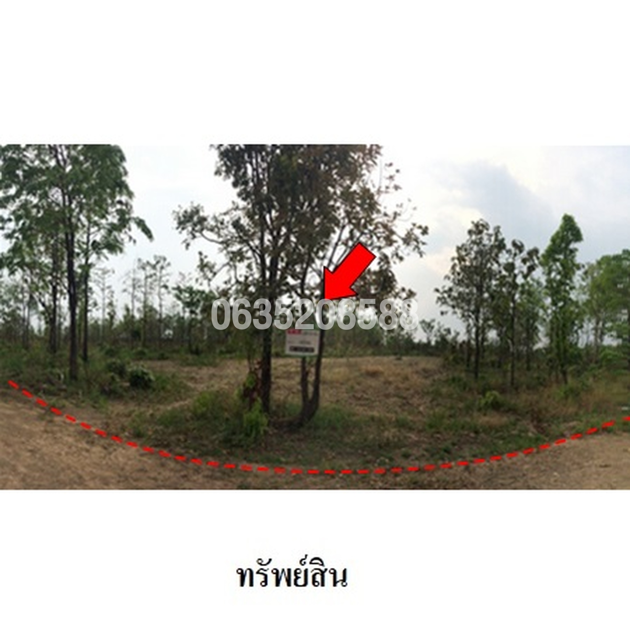 ขายที่ดิน ถนนสายบ้านโป่งคองเหนือ-บ้านเขว้า (ชย.3007)