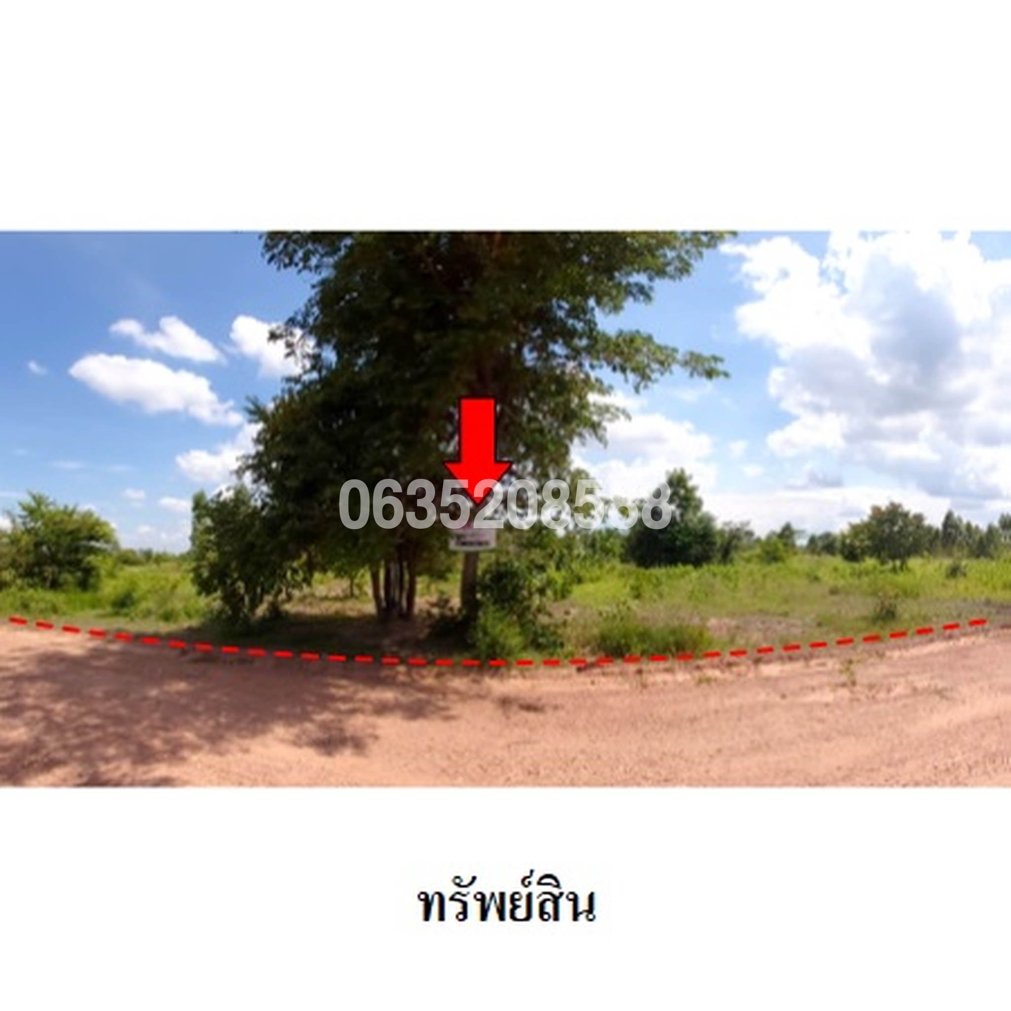 ขายที่ดิน ถนนสายบ้านยางป่า-โคกสูง (ชย.4077)