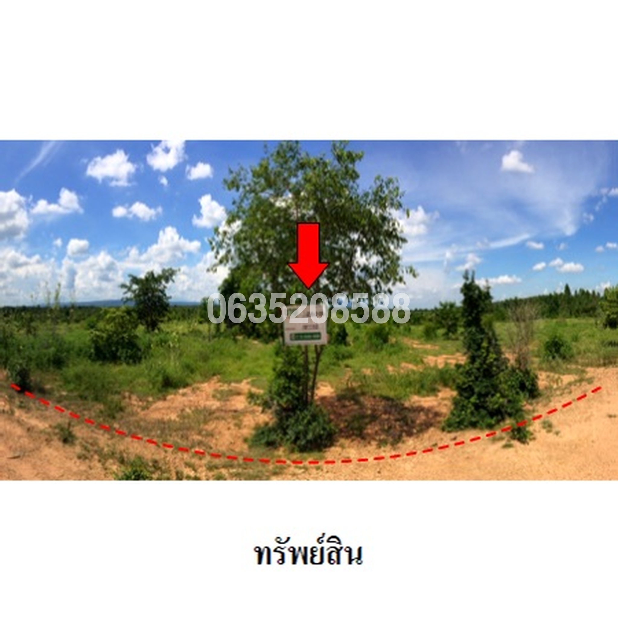 ขายที่ดิน ถนนสายบ้านยางป่า-โคกสูง (ชย.4077)