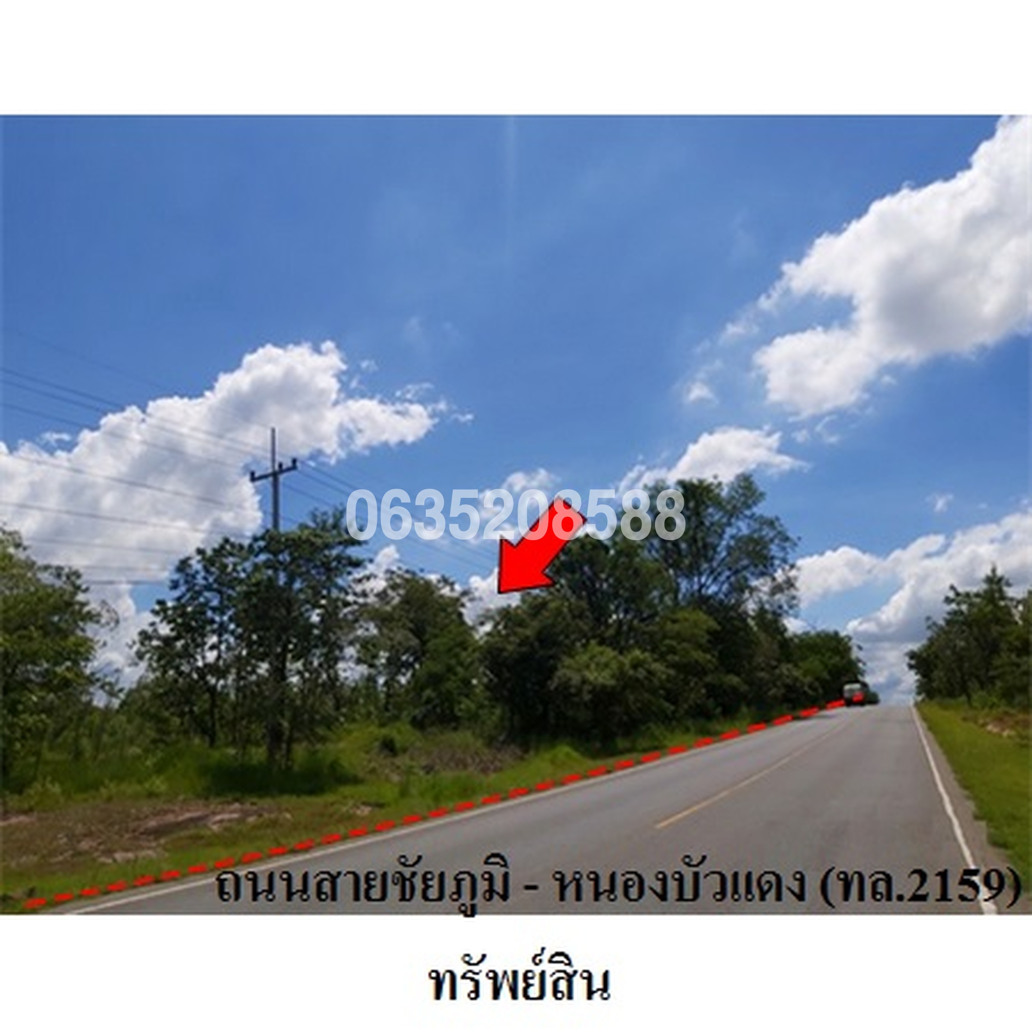 ขายที่ดิน ถนนสายชัยภูมิ-หนองบัวแดง (ทล.2159)