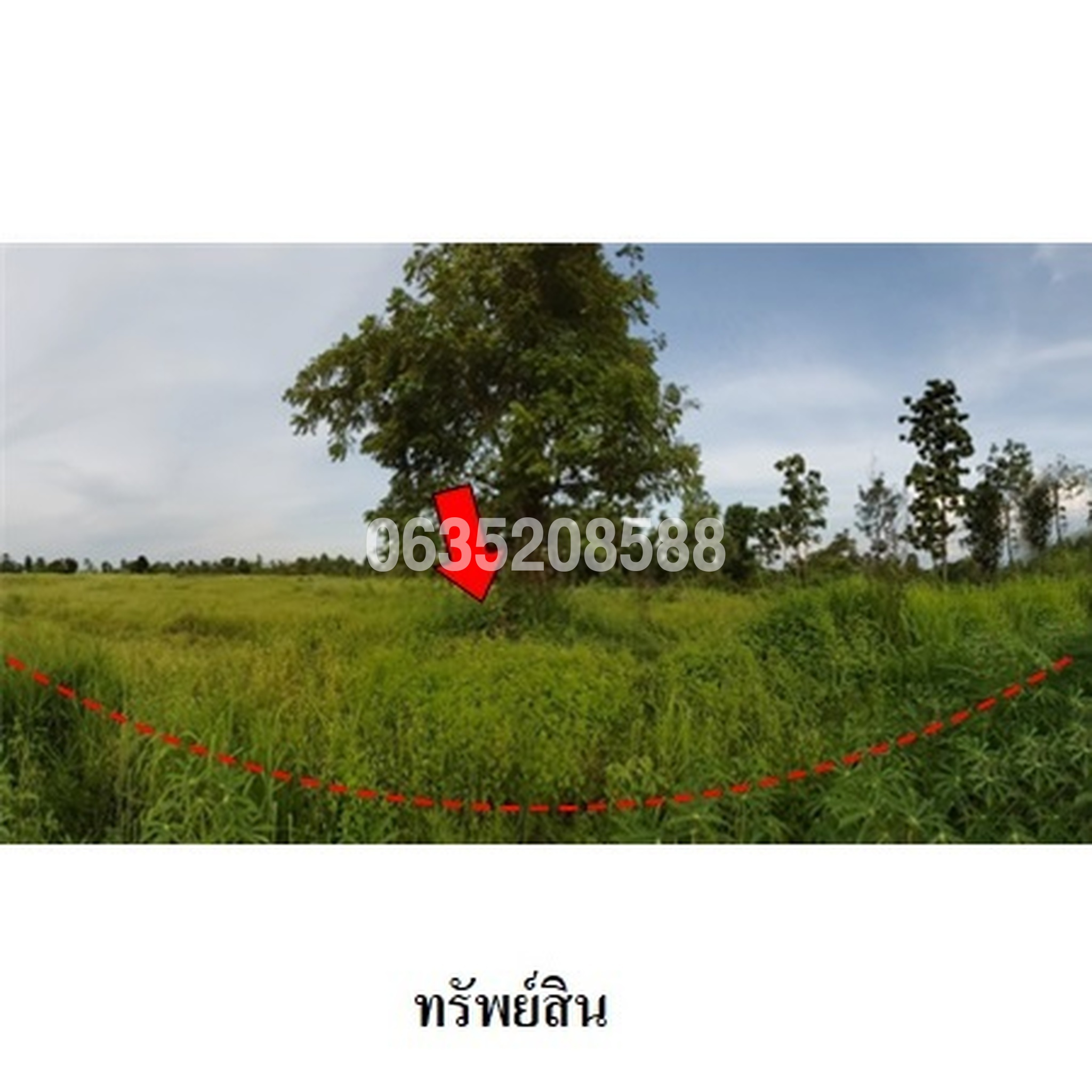 ขายที่ดิน ถนนสายชัยภูมิ-หนองบัวแดง (ทล.2159)