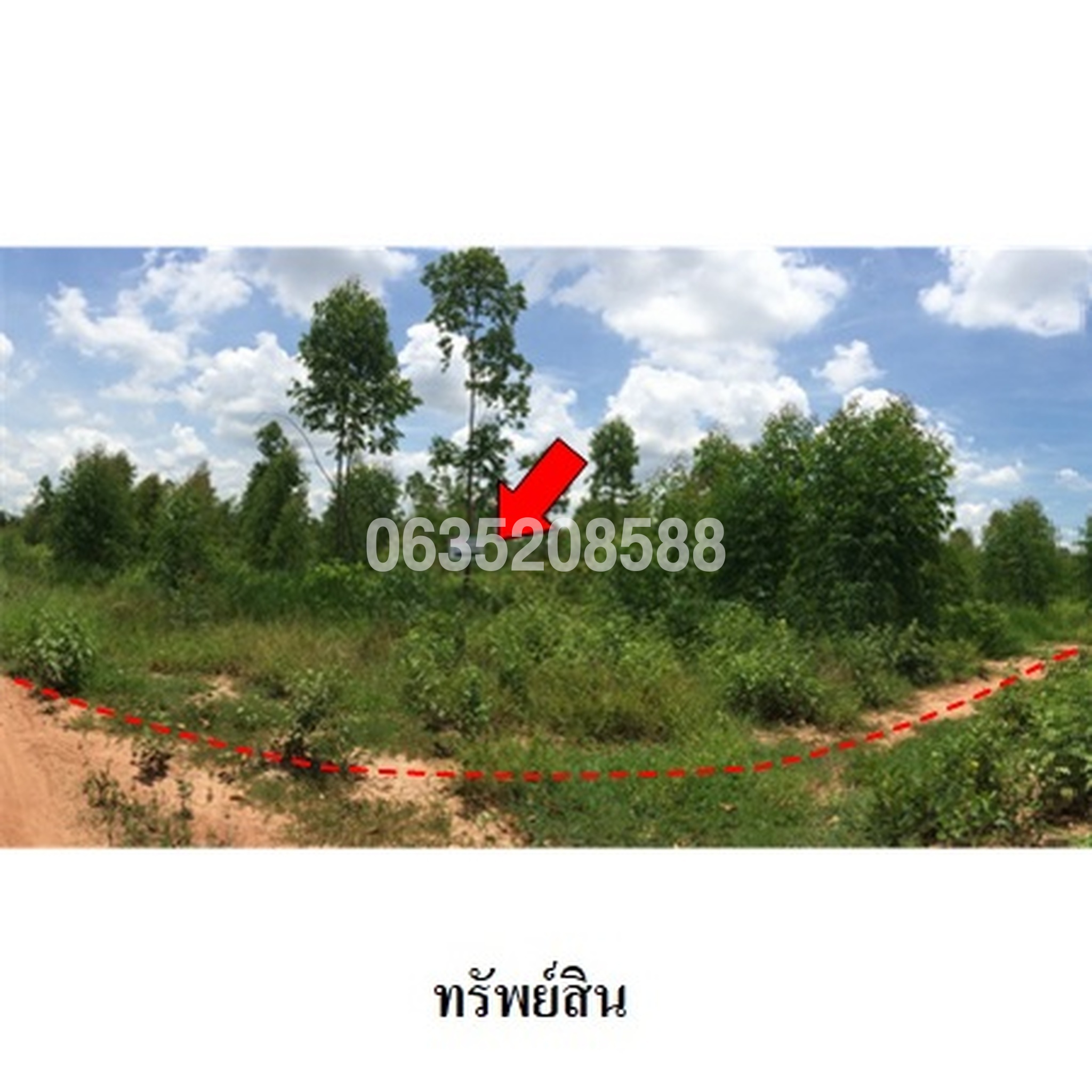 ขายที่ดิน ถนนสายบ้านโป่งคองเหนือ-บ้านเขว้า (ชย.3007)