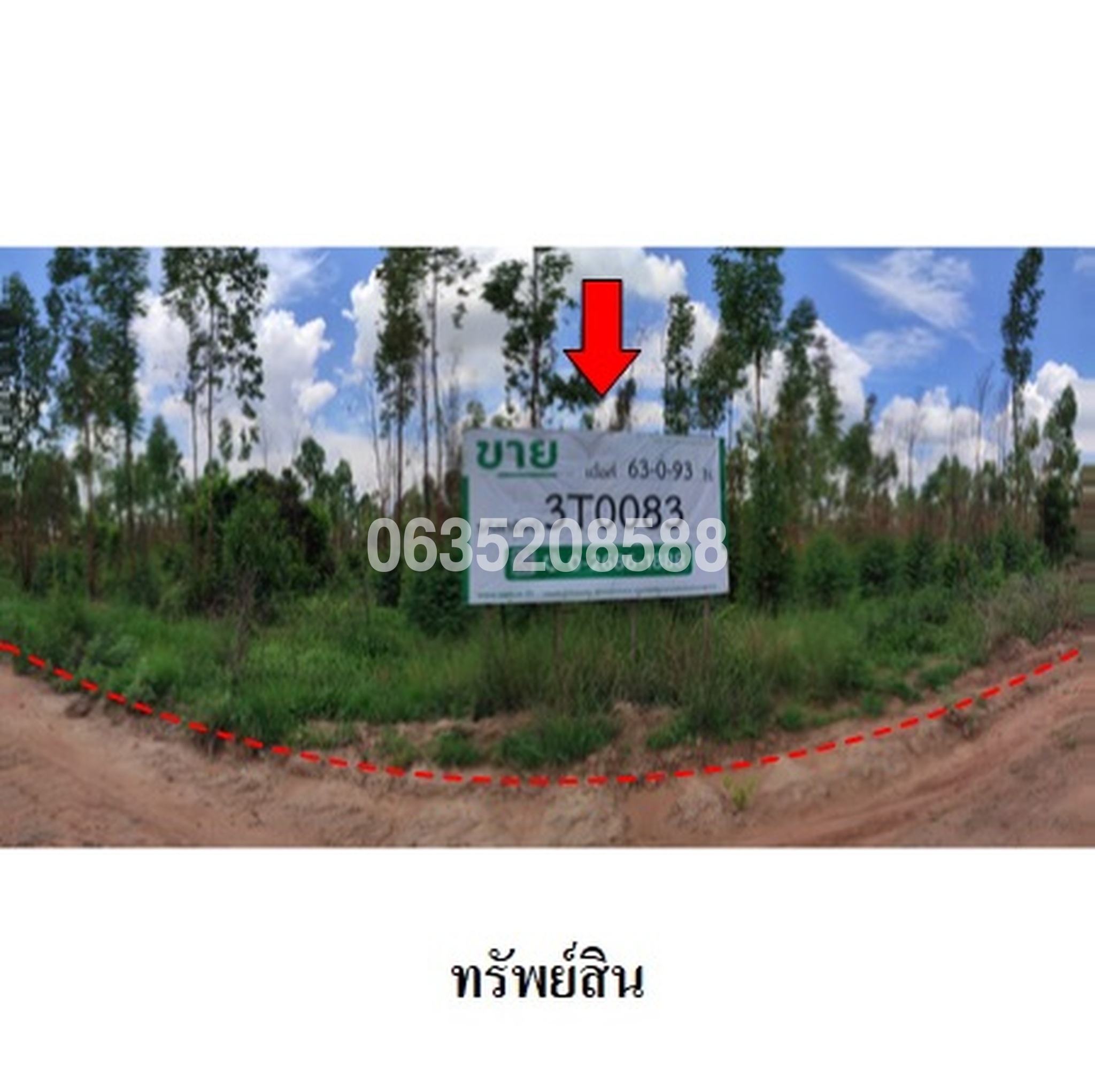 ขายที่ดิน ถนนสายชัยภูมิ-ตาดโตน (ทล.2051)