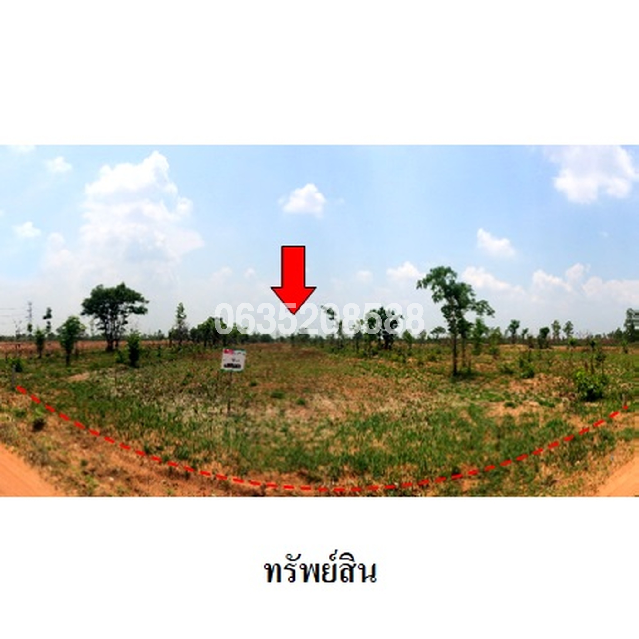 ขายที่ดิน ถนนสายชัยภูมิ-ตาดโตน (ทล.2051)
