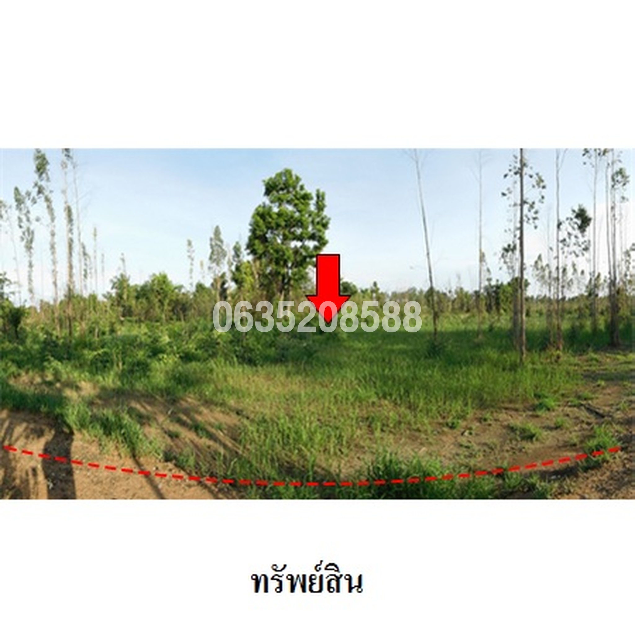 ขายที่ดิน ถนนสายบ้านโป่งคองเหนือ-บ้านเขว้า (ชย.3007)