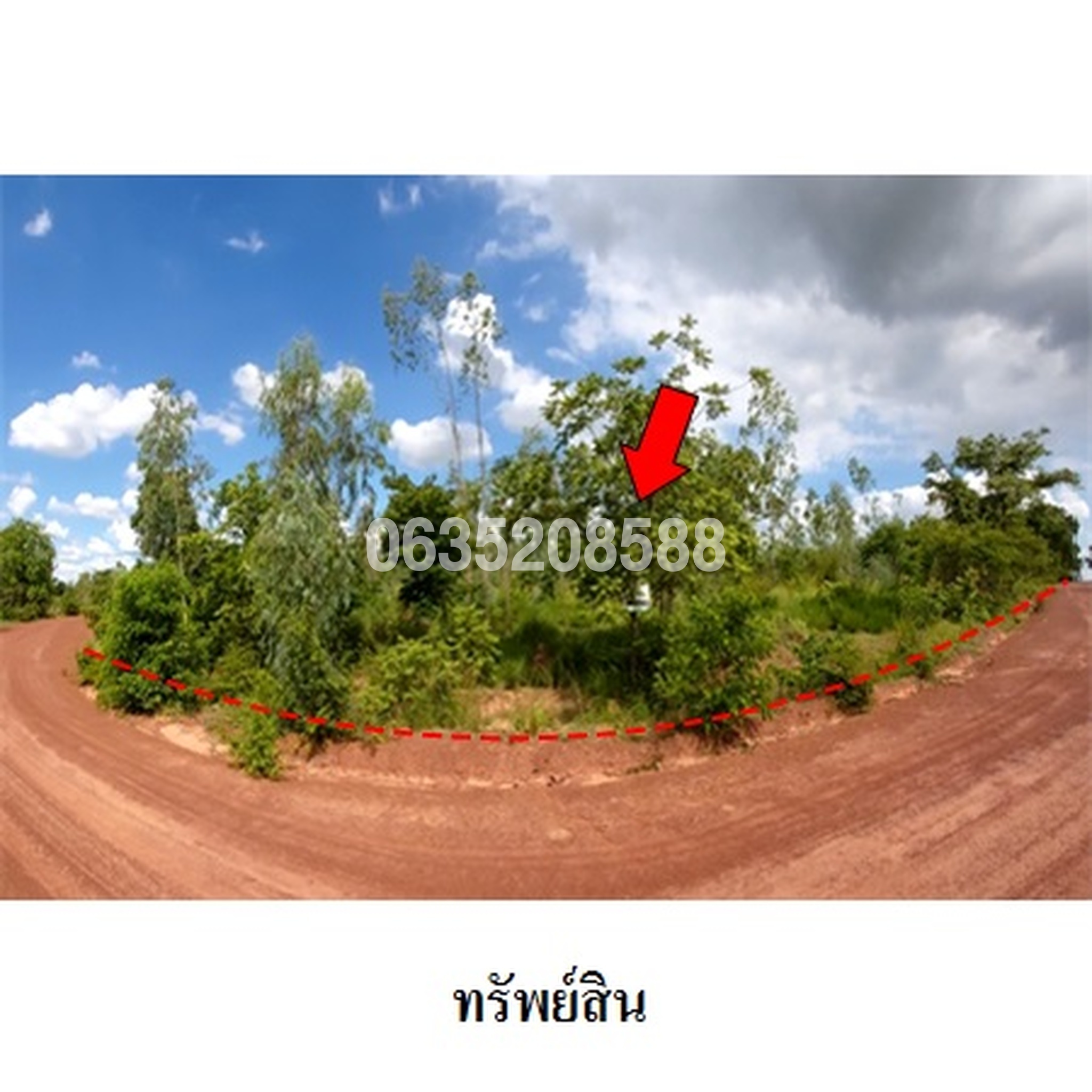 ขายที่ดิน ถนนสายชัยภูมิ-ตาดโตน (ทล.2051)