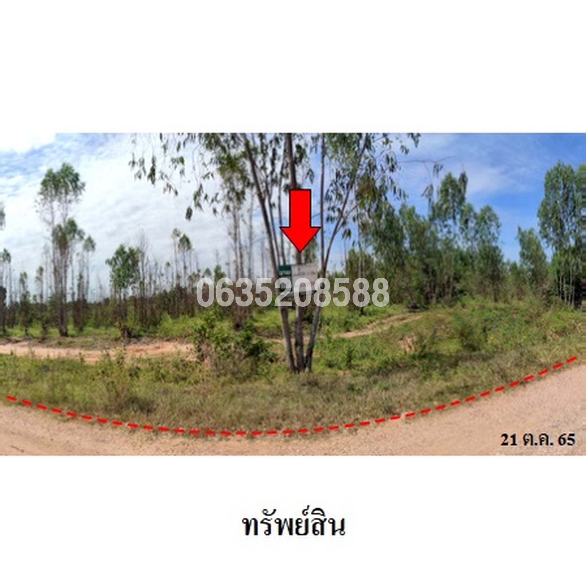 ขายที่ดิน ถนนสายบ้านโนนสาทร-หนองปลาเฒ่า (ชย.2004)