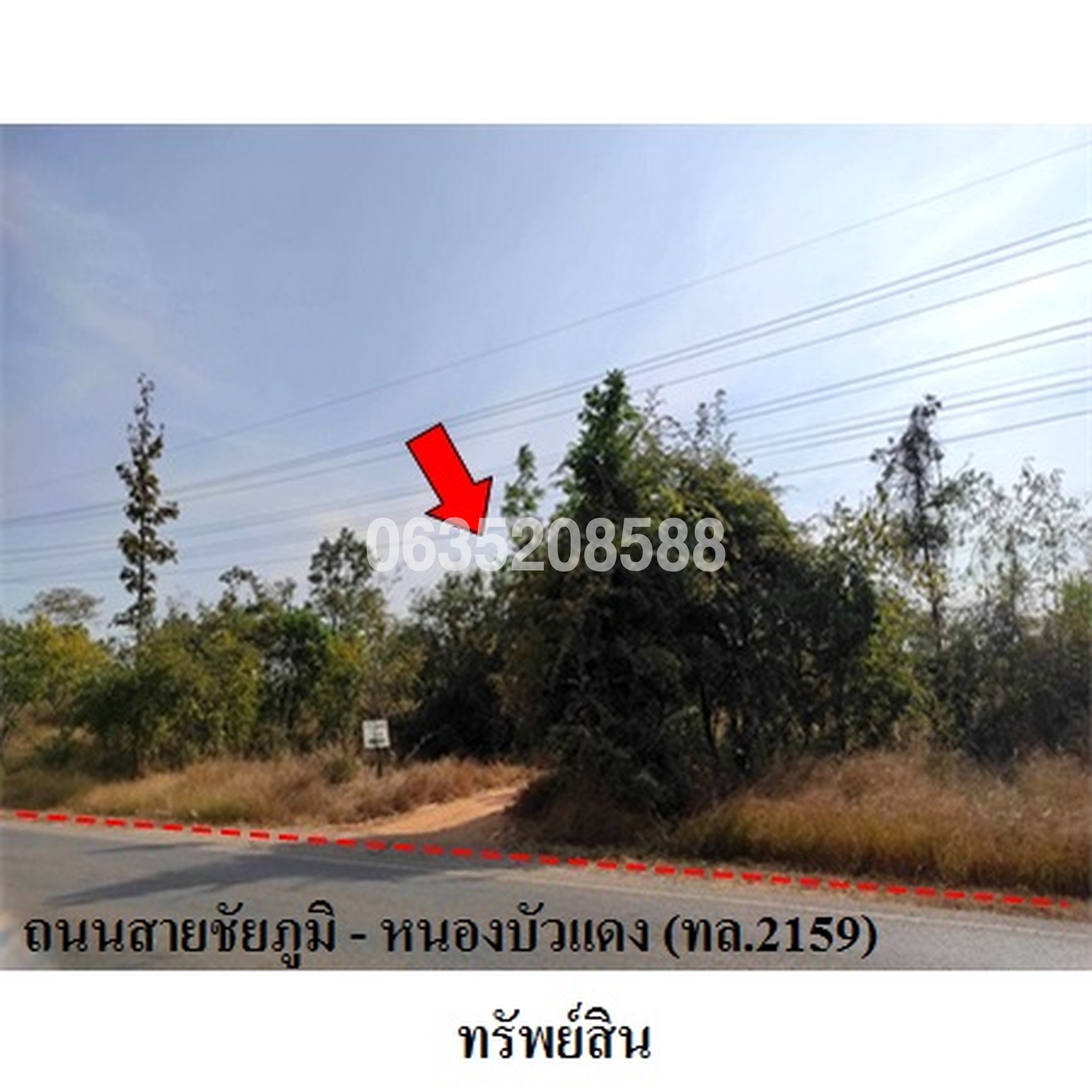ขายที่ดิน ถนนสายชัยภูมิ-หนองบัวแดง (ทล.2159)