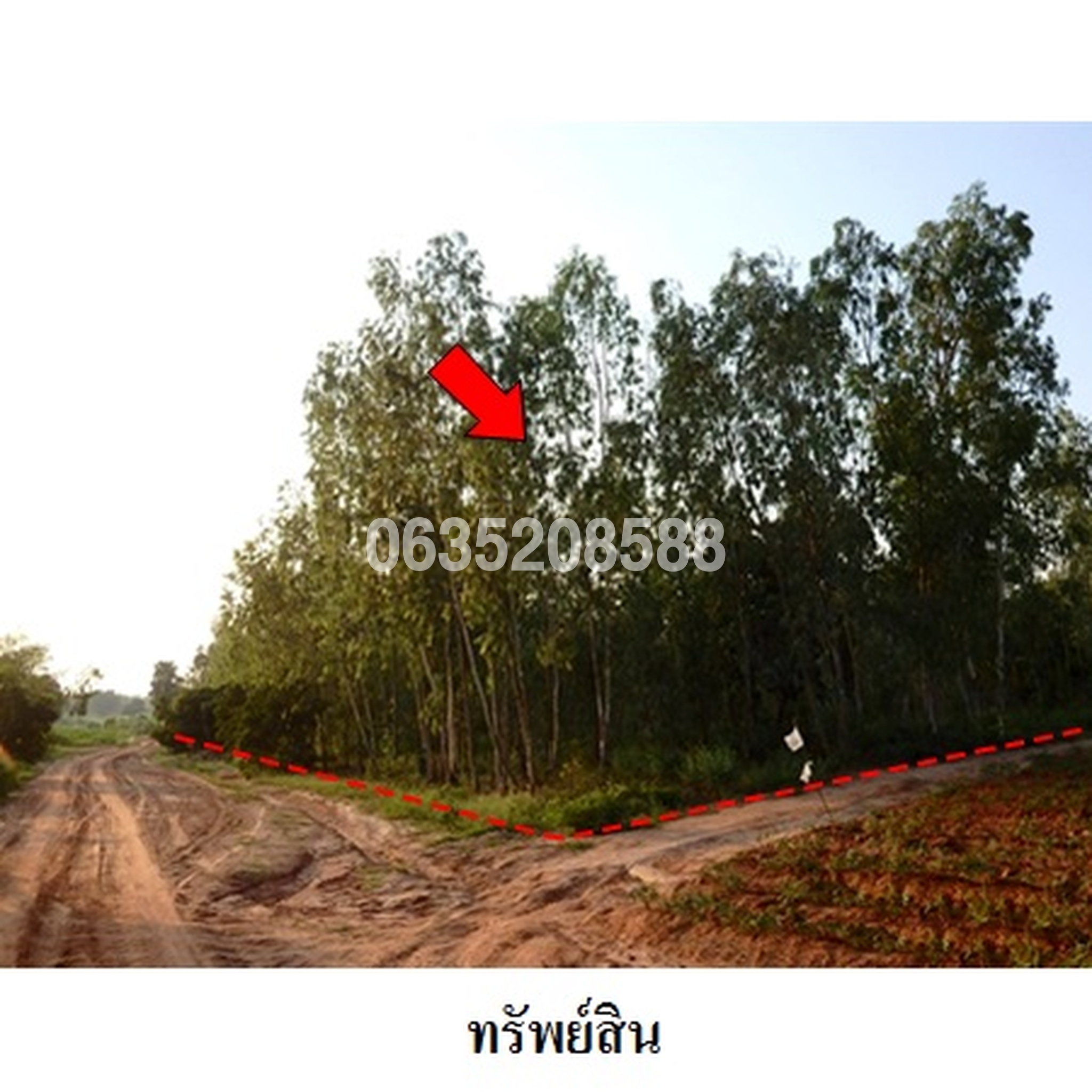 ขายที่ดิน ถนนสายบ้านโนนสาทร-หนองปลาเฒ่า (ชย.2004)