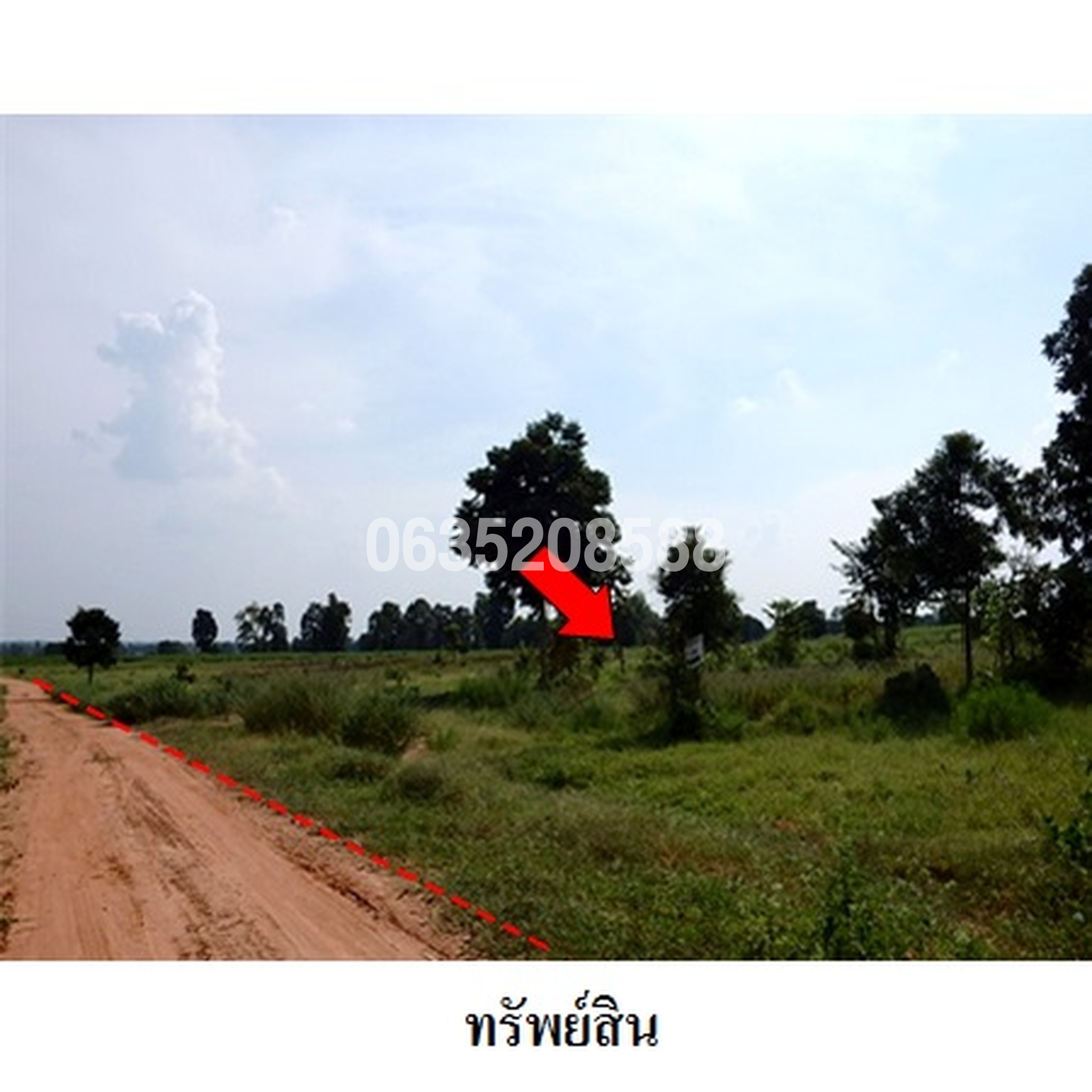 ขายที่ดิน ถนนสายบ้านโนนสาทร-หนองปลาเฒ่า (ชย.2004)