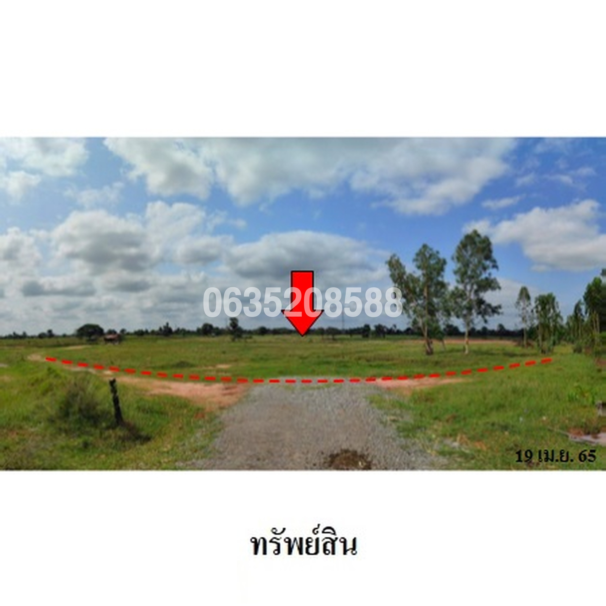 ขายที่ดิน ถนนสายบ้านหนองบัวขาว-บ้านโสกตลับ (ชย.3001)