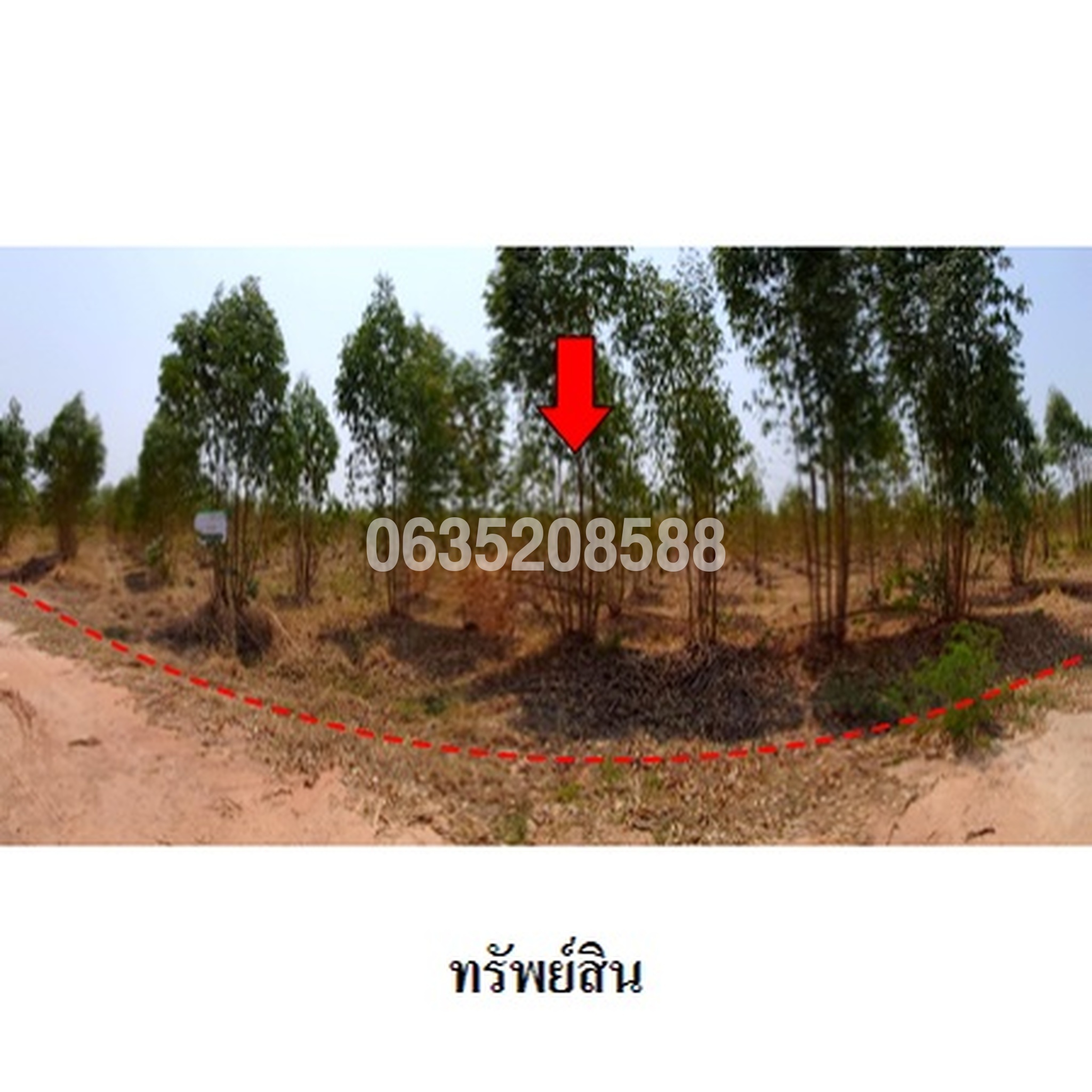 ขายที่ดิน ถนนสายบ้านยางป่า-โคกสูง (ชย.4077)