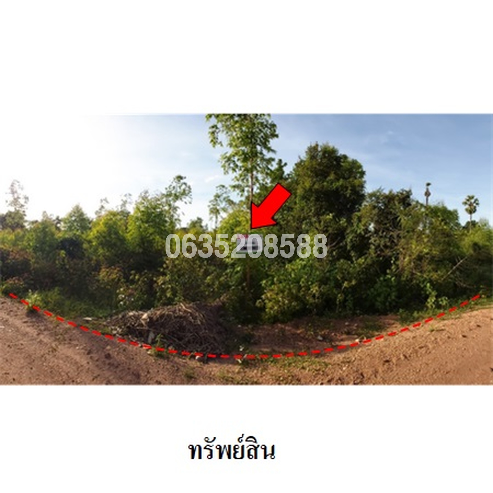 ขายที่ดิน ถนนสายบ้านยางป่า-โคกสูง (ชย.4077)