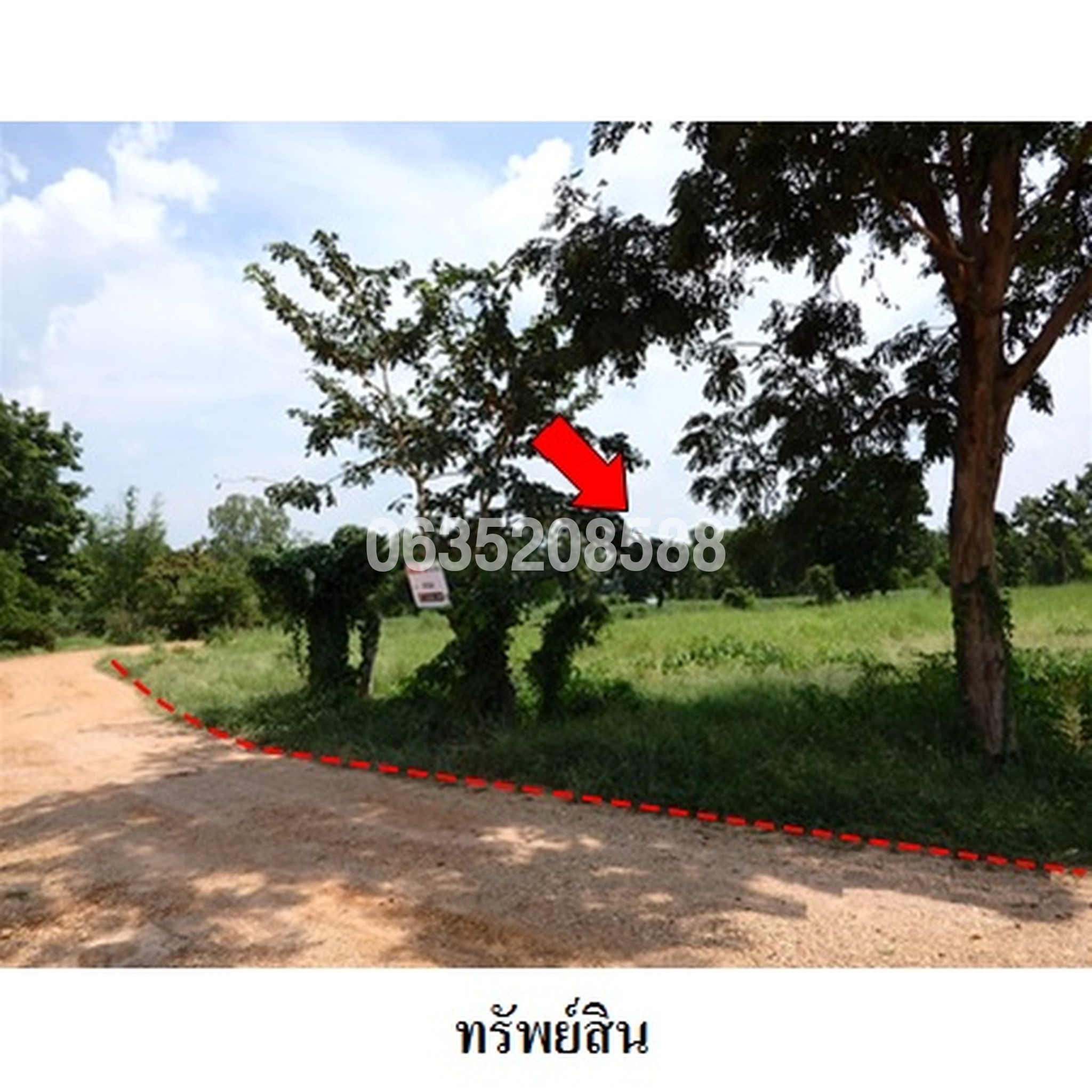 ขายที่ดิน ถนนโนนสาทร-หนองปลาเฒ่า