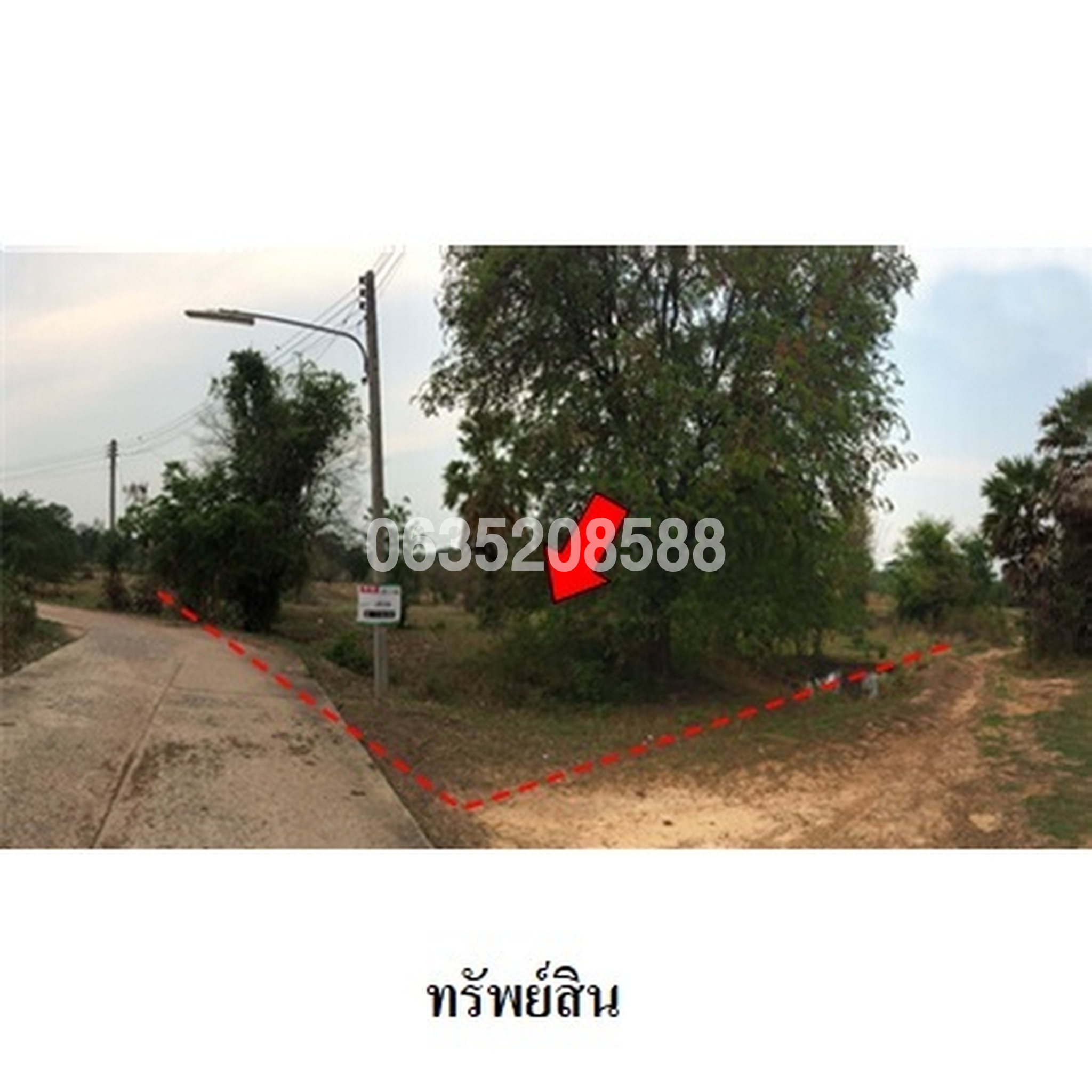 ขายที่ดิน ถนนสายบ้านยางป่า-โคกสูง (ชย.4077)