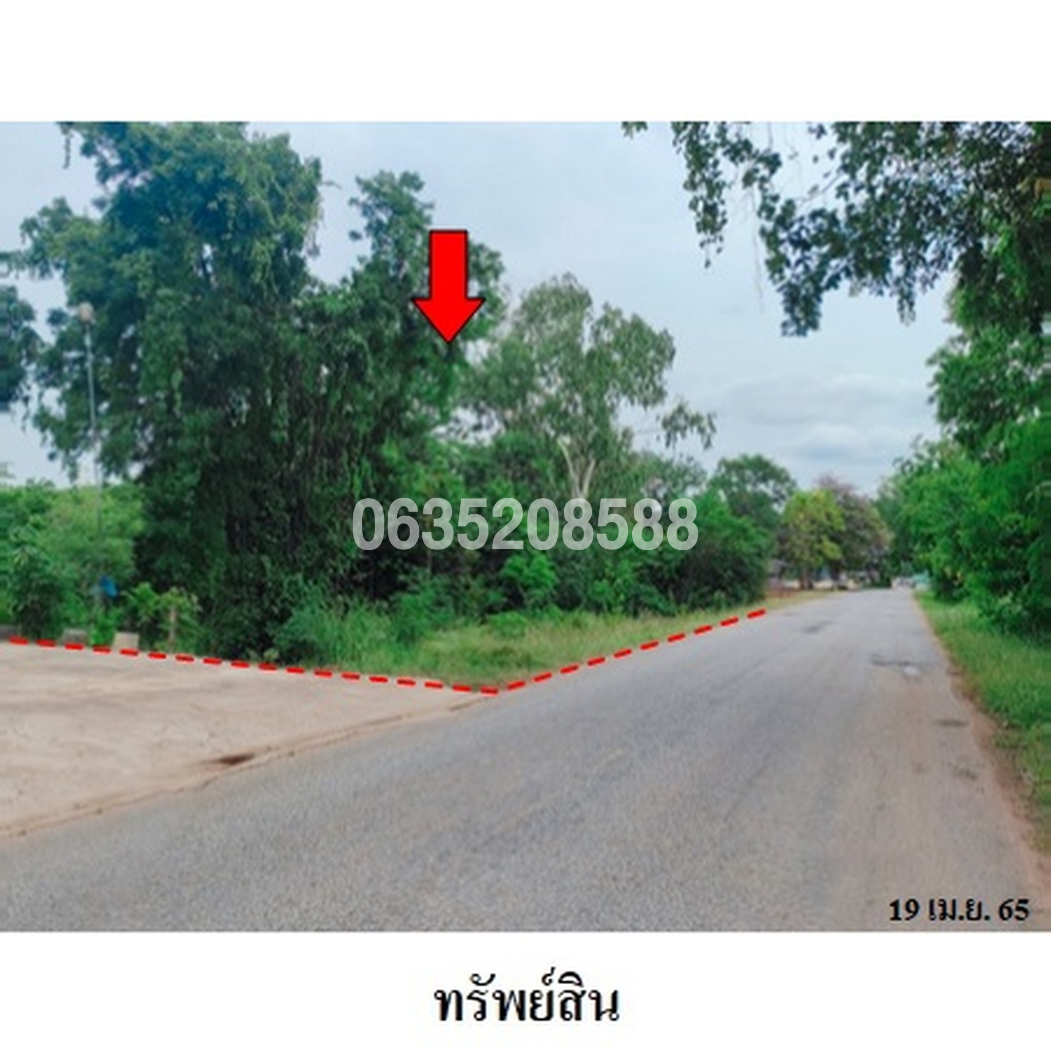 ขายที่ดิน ถนนสายบ้านยางป่า-โคกสูง (ชย.4077)
