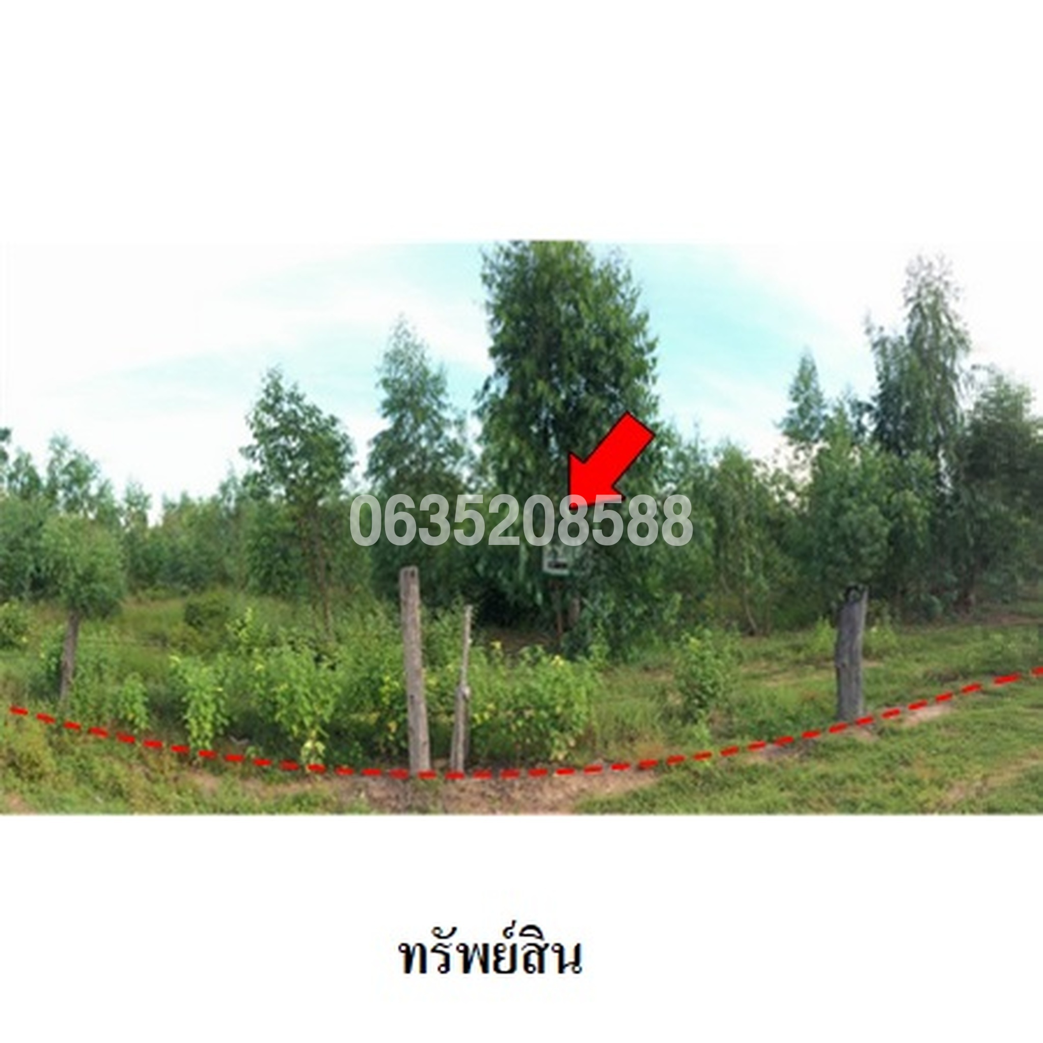 ขายที่ดิน ถนนสายบ้านยางป่า-โคกสูง (ชย.4077)