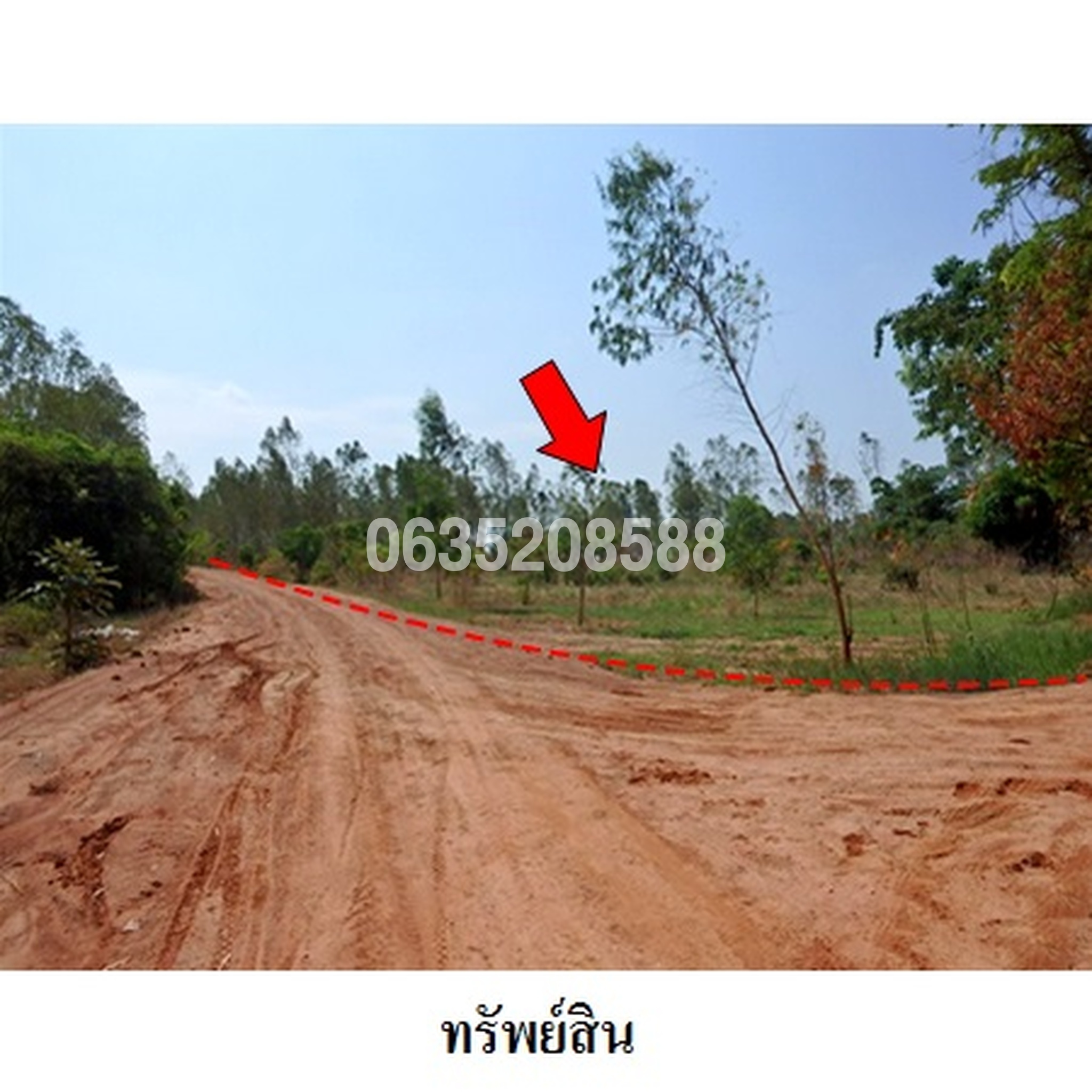 ขายที่ดิน ถนนบ้านหนองบัวขาว-บ้านโสกตลับ (ชย.3001)