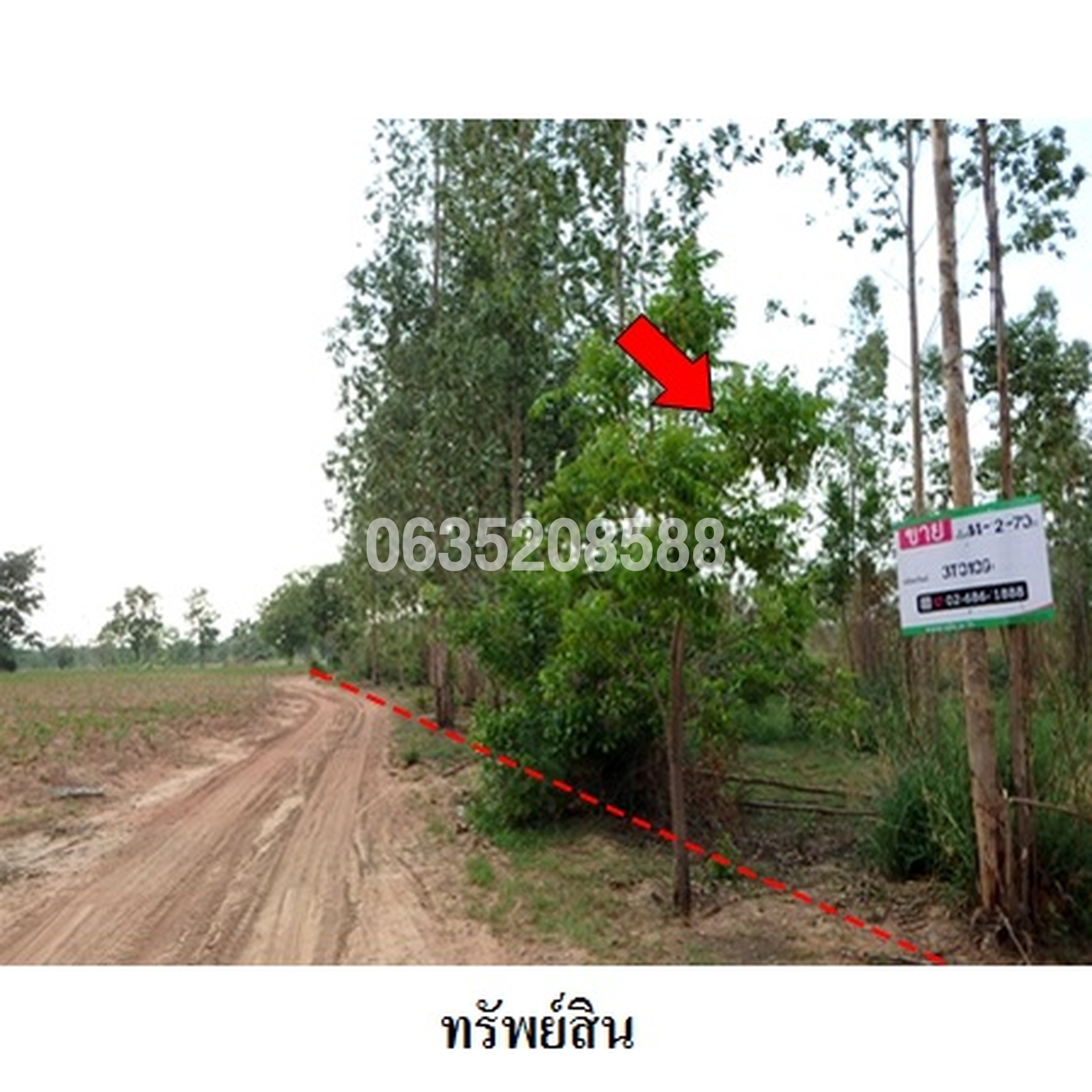 ขายที่ดิน ถนนสายบ้านโป่งคองเหนือ-บ้านเขว้า (ชย.3007)