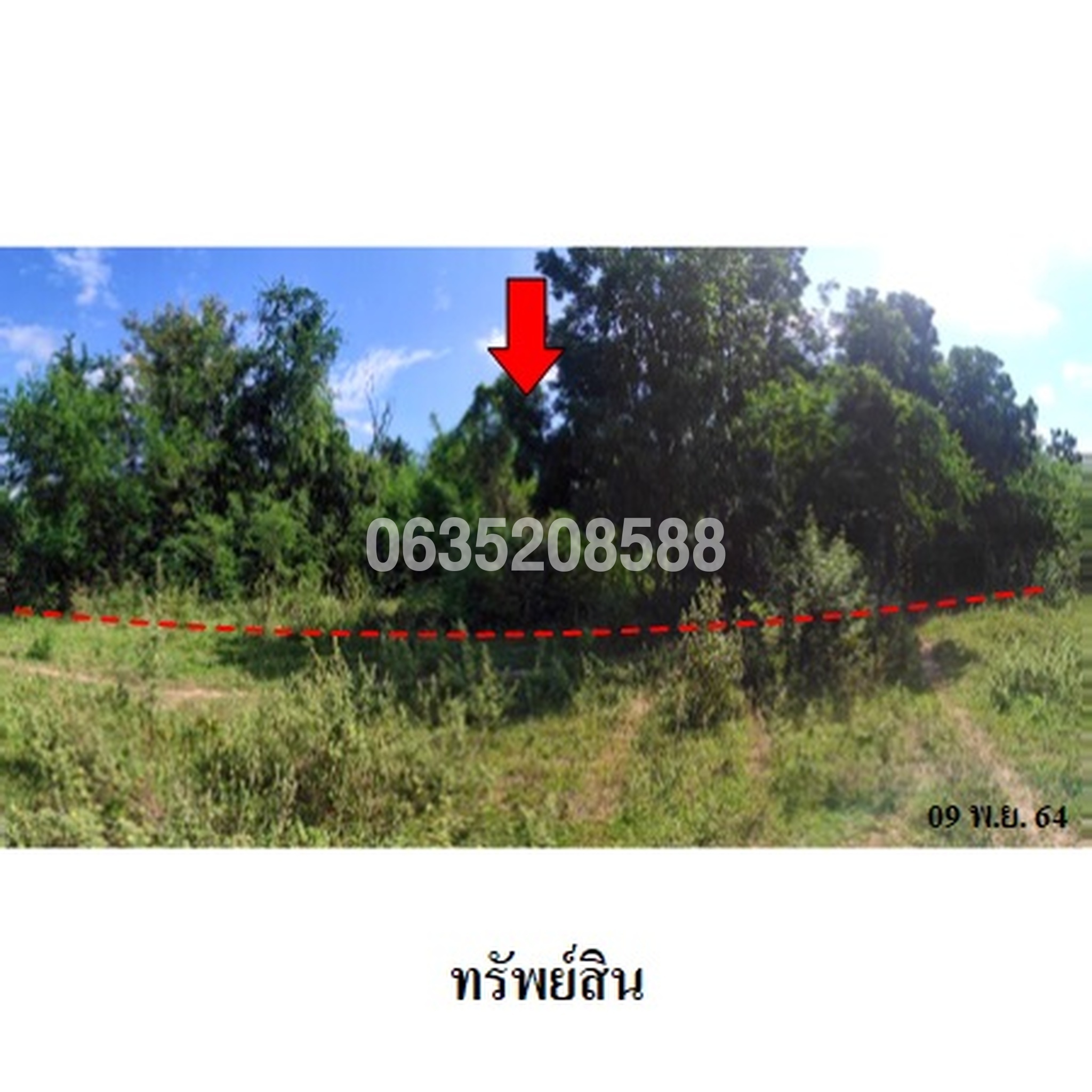 ทรัพย์สถาบันโดย บริษัท บริหารสินทรัพย์สุขุมวิท จำกัด ที่ดิน ถนนสายบ้านนากลาง-บ้านโป่งแมลงวัน (นม.2144)