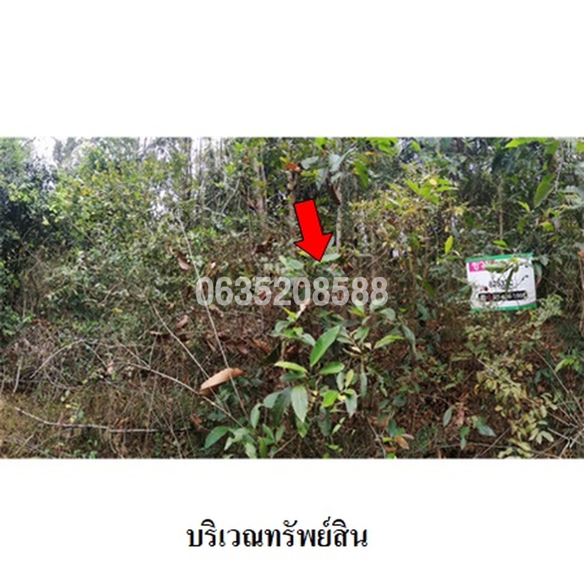 ขายที่ดิน ถนนแจ้งสนิท (ทล.23)