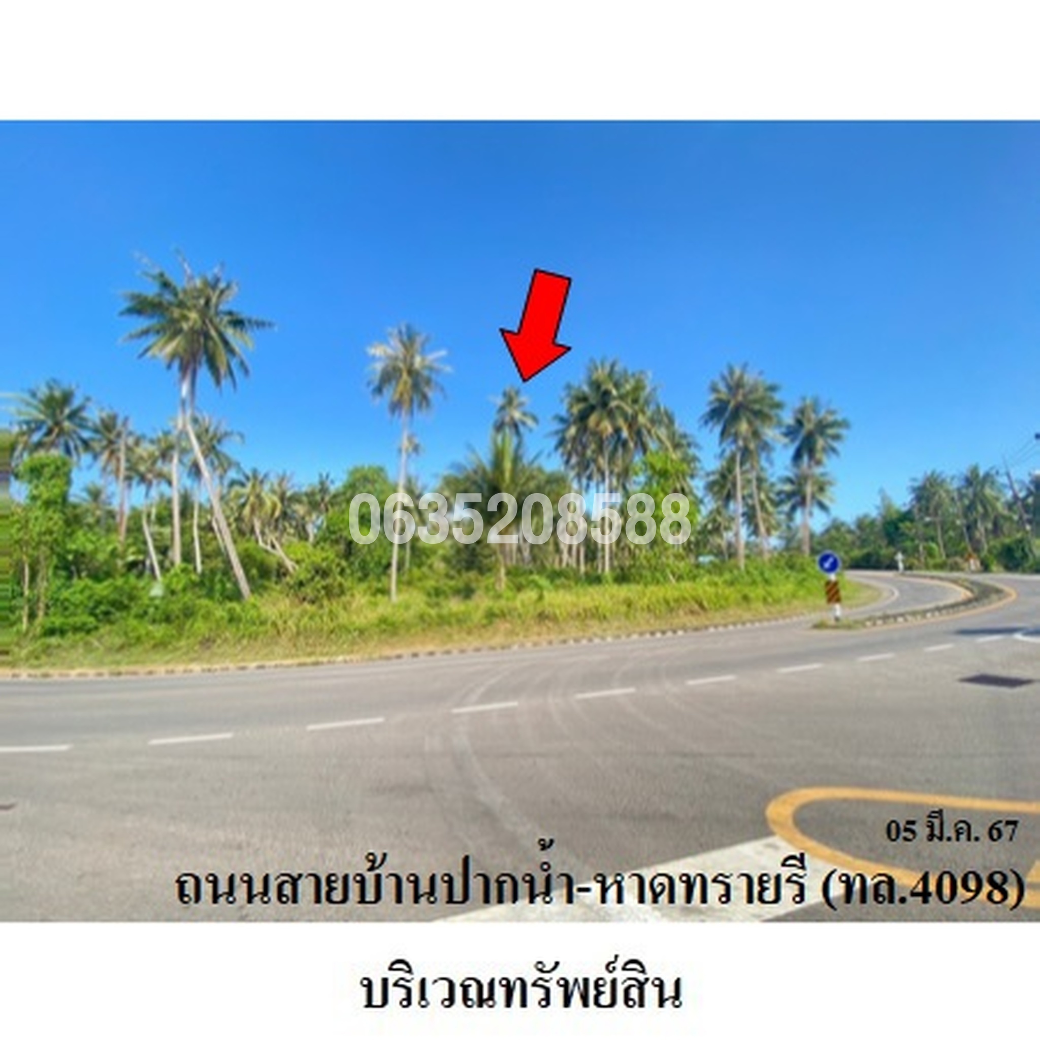 ขายที่ดิน ถนนสายปากน้ำ-หาดทรายรี (ทล.4098)