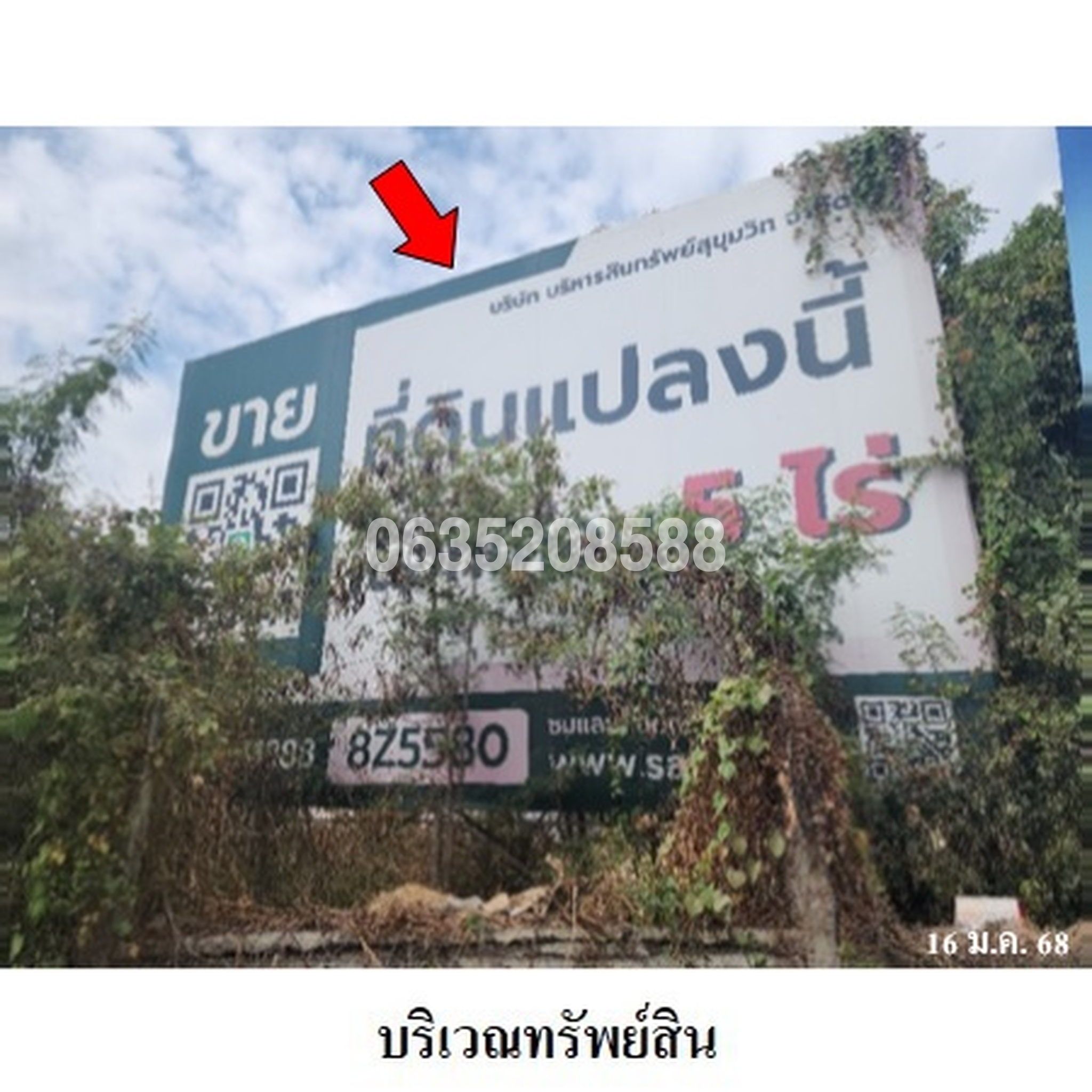 ขายที่ดิน ถนนทรงพล