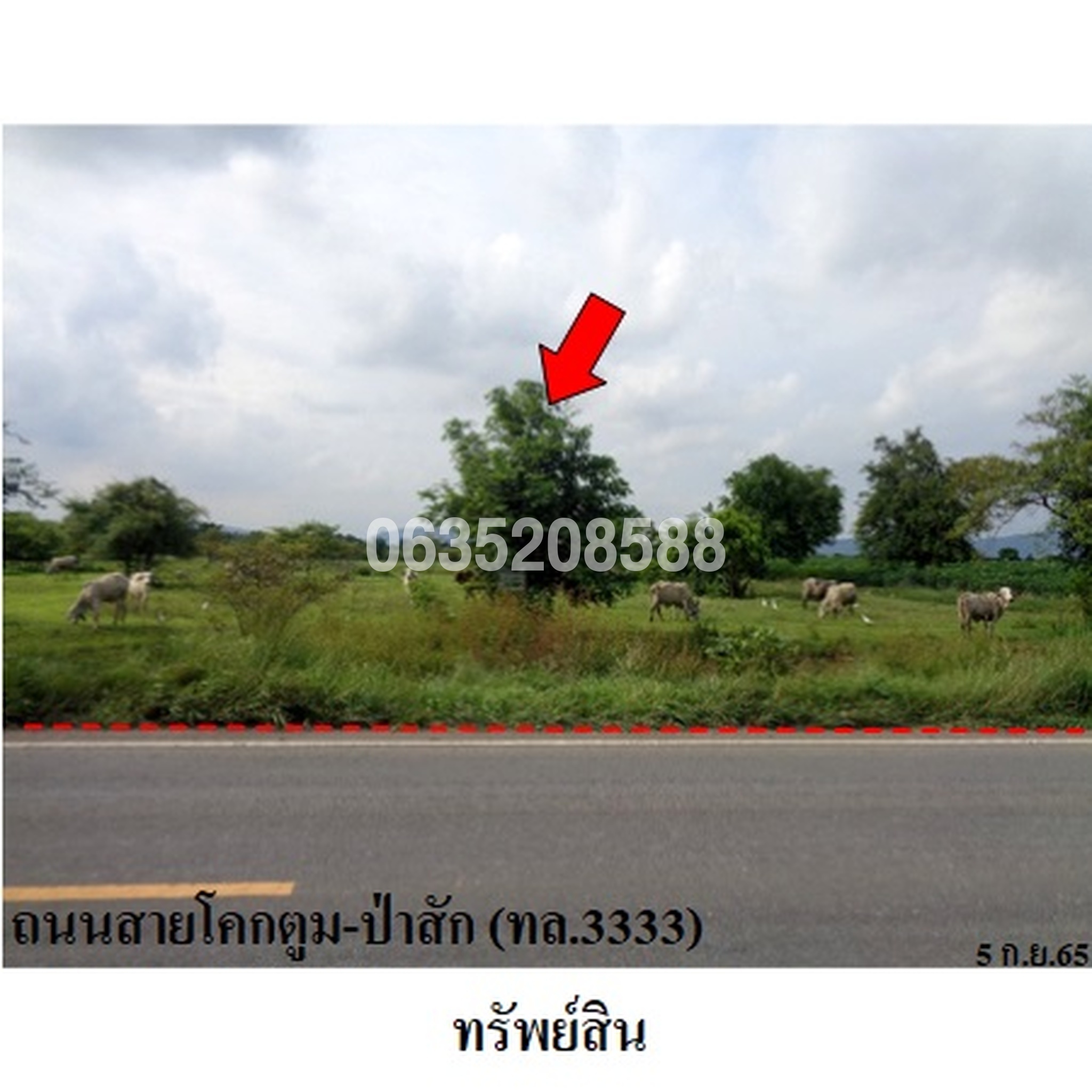 ขายที่ดิน ถนนโคกตูม-ป่าสัก (ทล.3333)