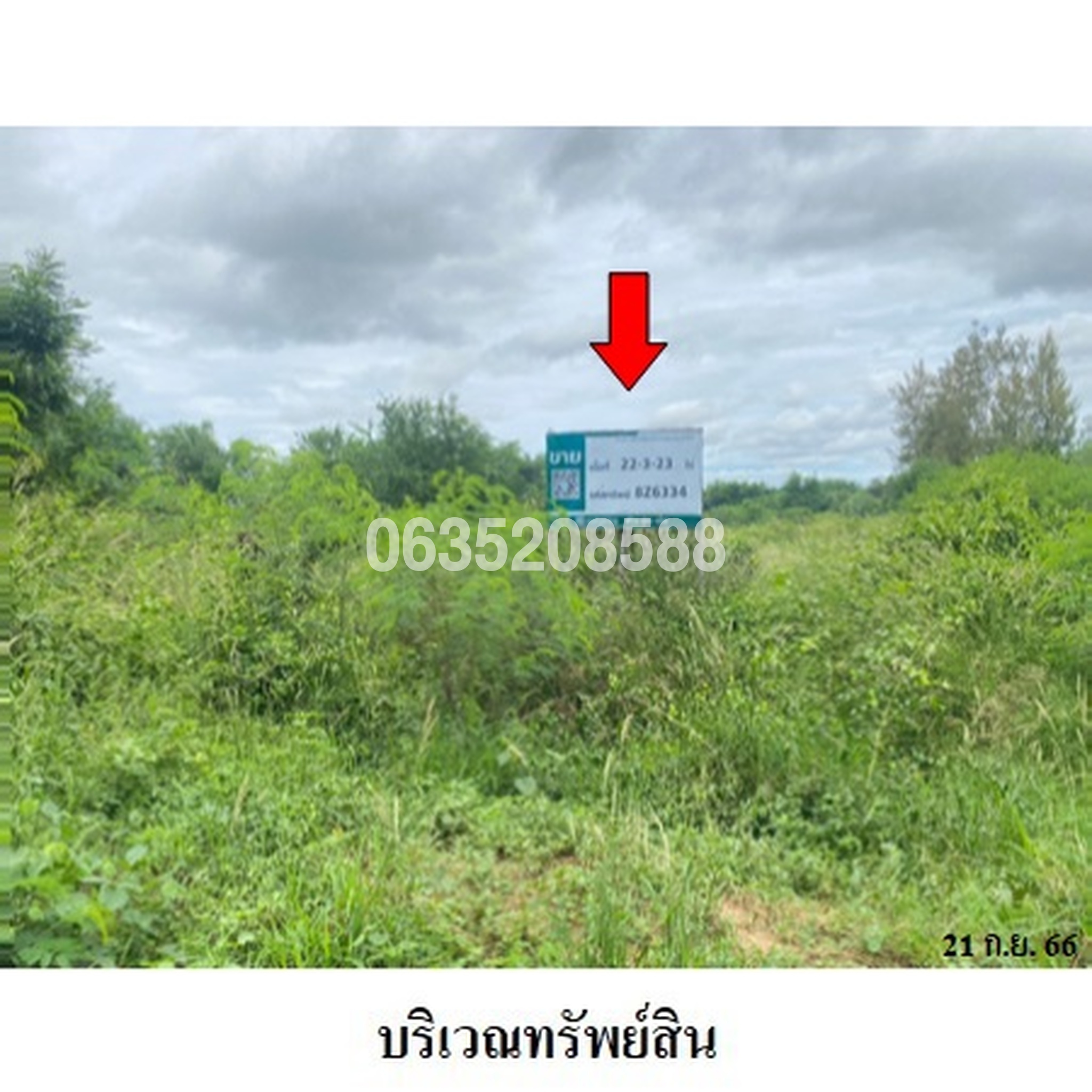 ขายที่ดิน ถนนเลียบคลองส่งน้ำสายซอย 59 ซ้าย