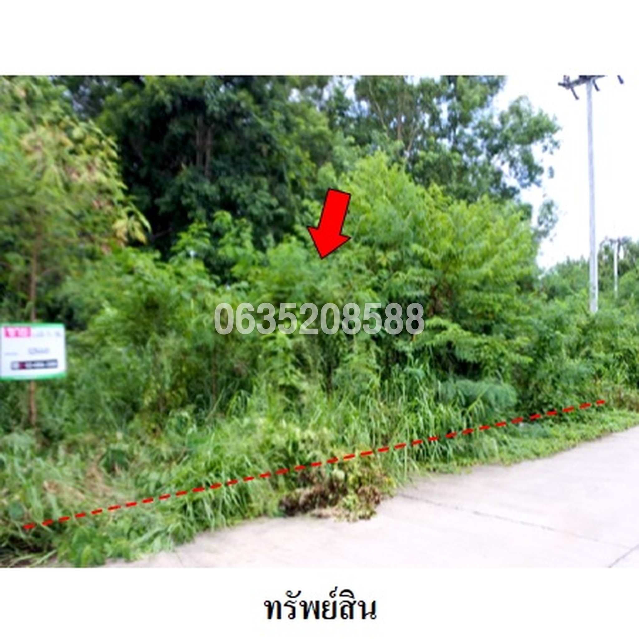 ขายที่ดิน สวนวลีแลนด์ 4
