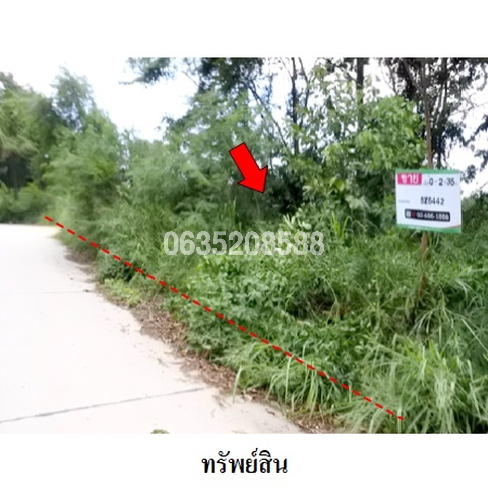 ขายที่ดิน สวนวลีแลนด์ 4 (Baan Suan Walee Land 4)