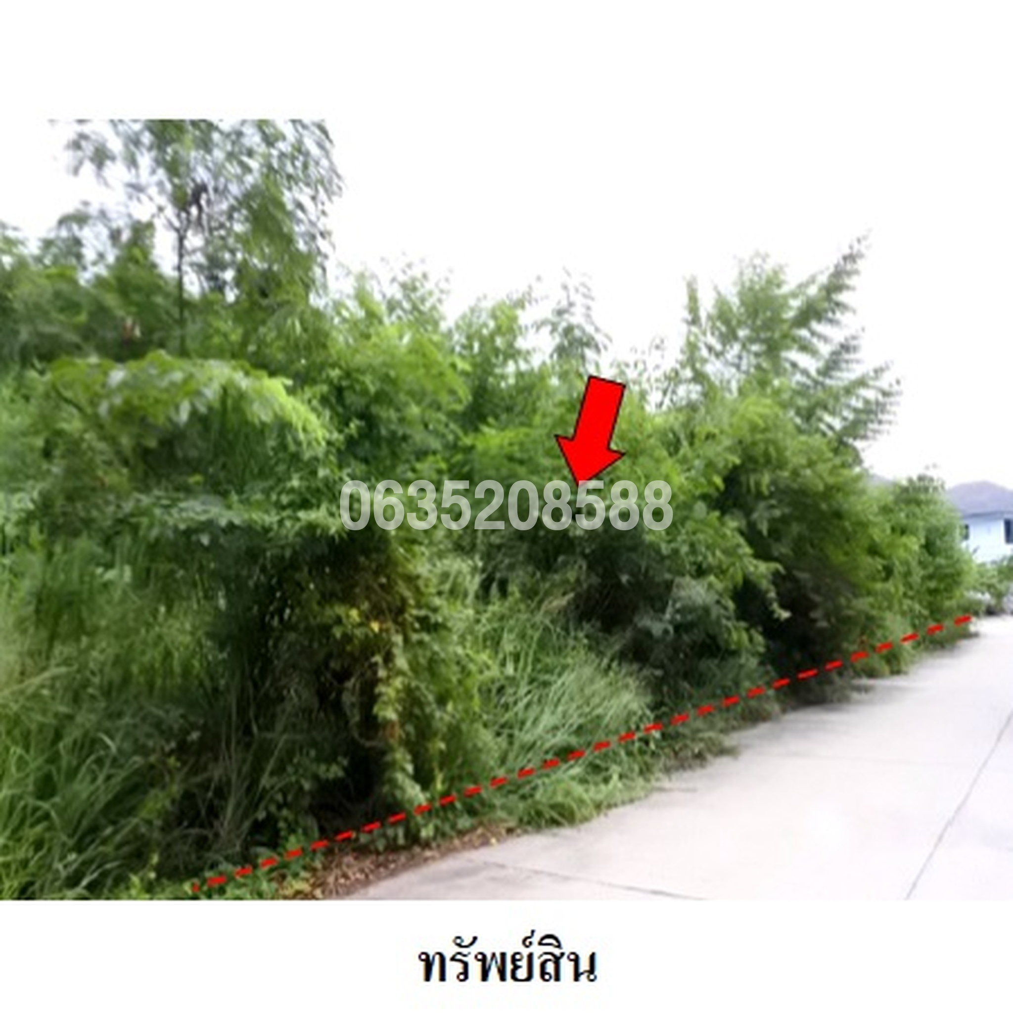 ขายที่ดิน สวนวลีแลนด์ 4 (Baan Suan Walee Land 4)
