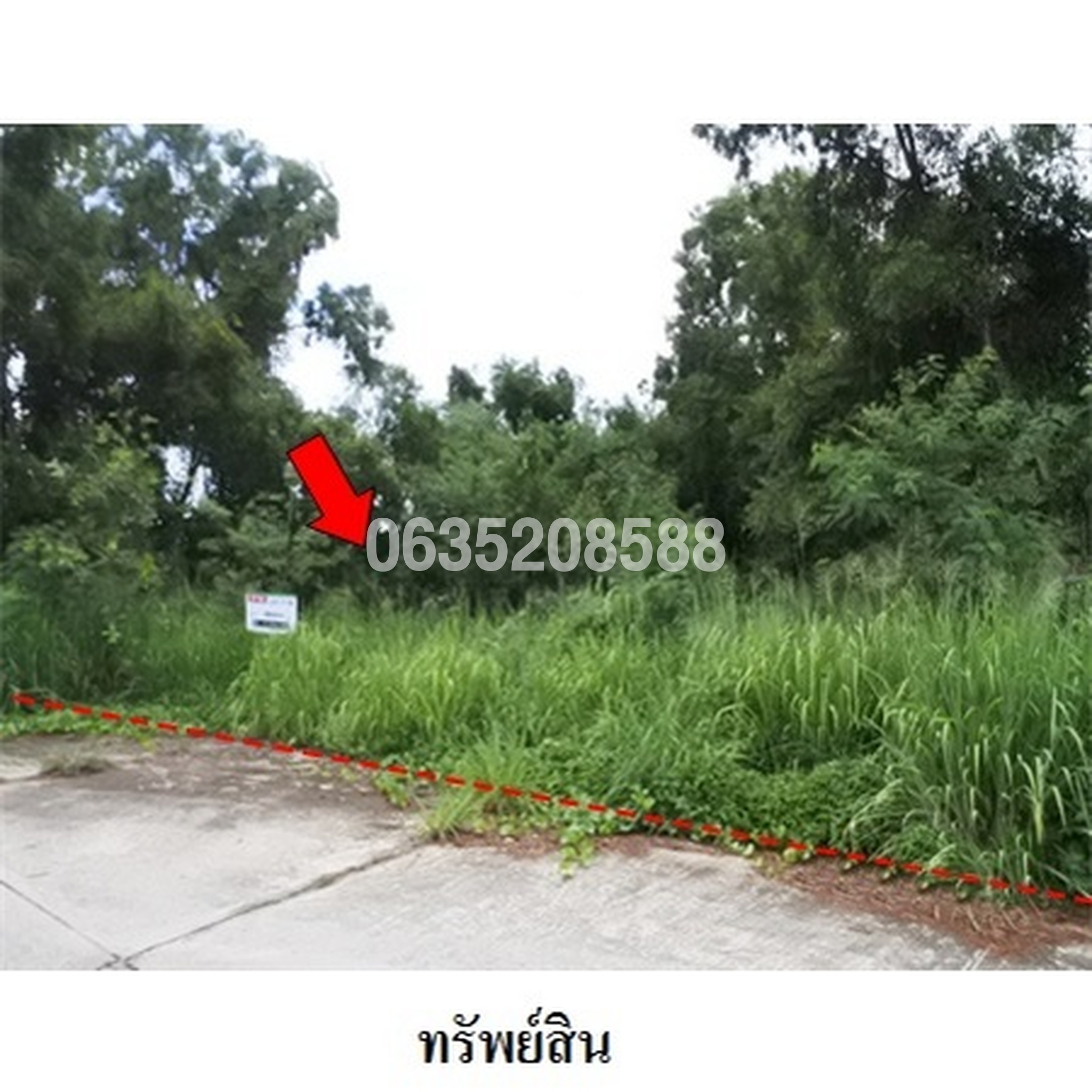 ขายที่ดิน สวนวลีแลนด์ 4 (Baan Suan Walee Land 4)