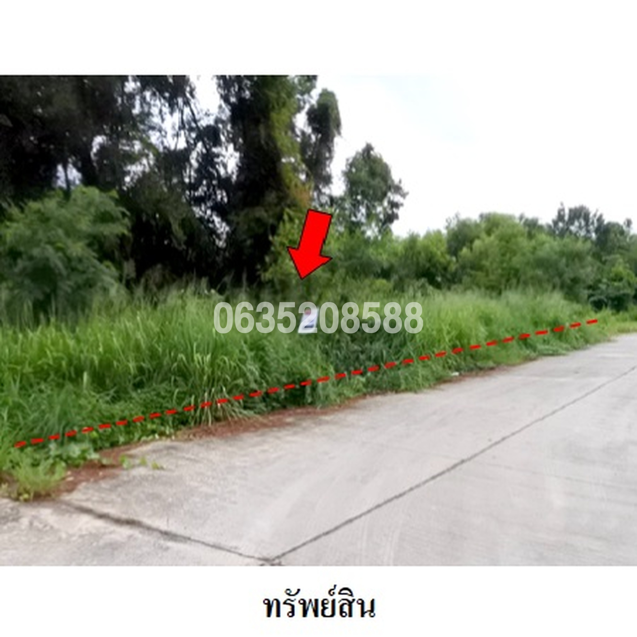 ขายที่ดิน สวนวลีแลนด์ 4 (Baan Suan Walee Land 4)