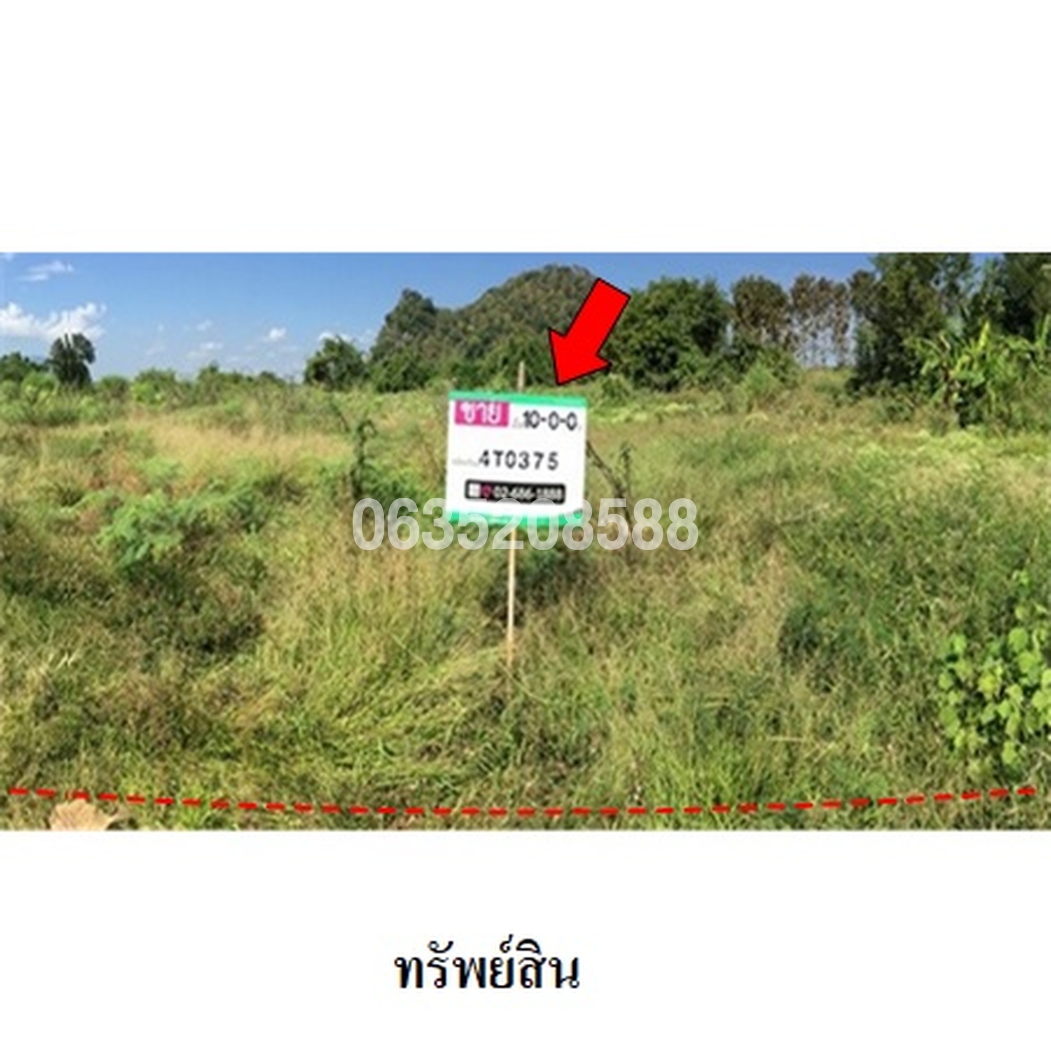 ขายที่ดิน ถนนป่าแงะ-บ้านแม่พุง