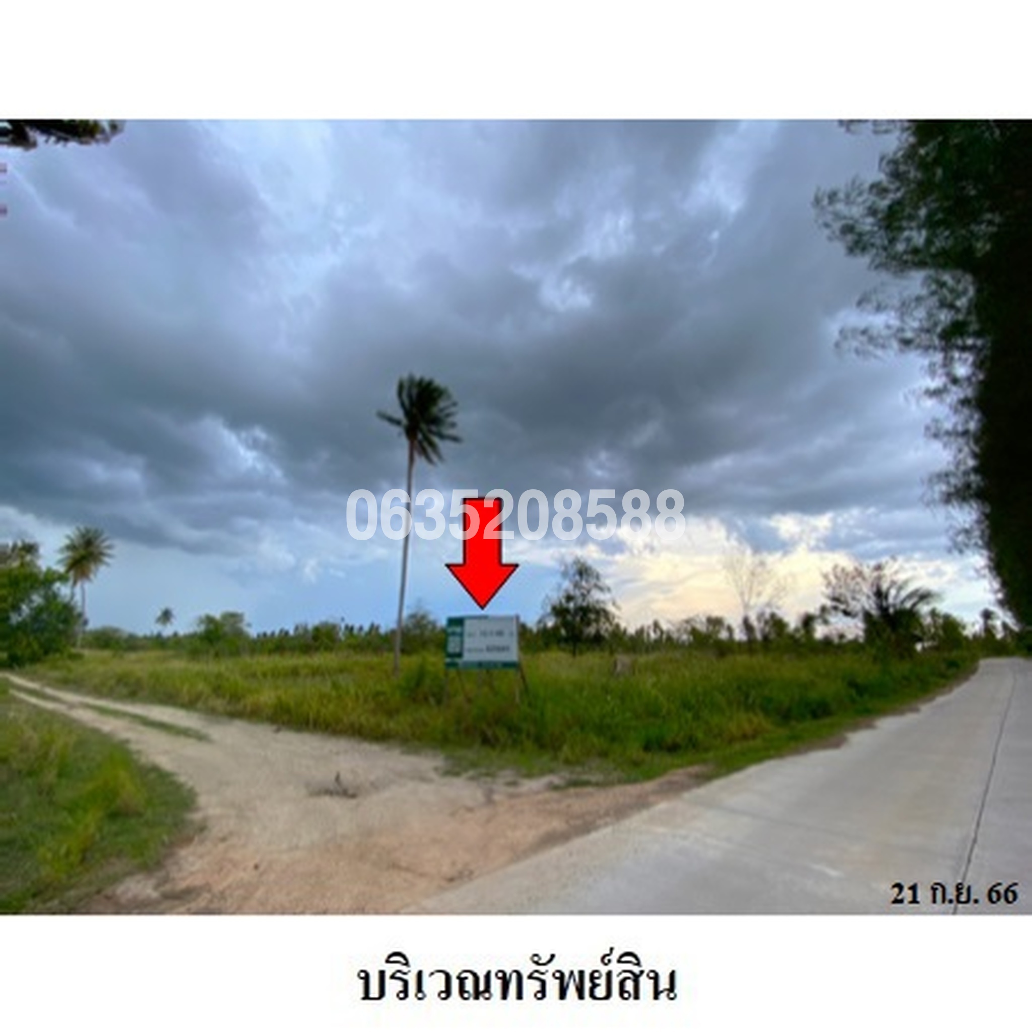 ขายที่ดิน - ปุ่มมะค่า ซอย 2
