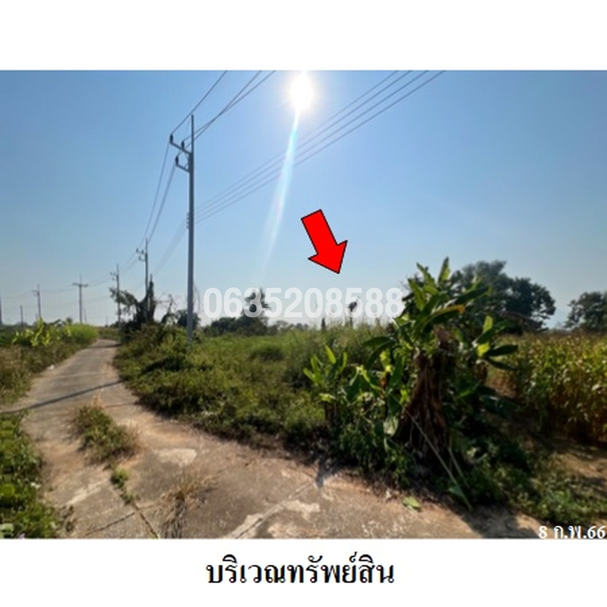 ขายที่ดิน ถนนสายแม่สาย-เชียงแสน (ทล.1290)