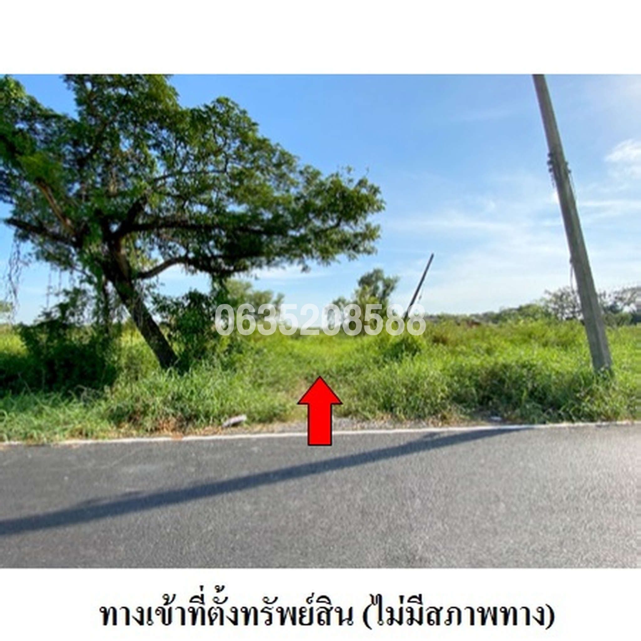 ขายที่ดิน ถนนรังสิต-นครนายก (ทล.305)