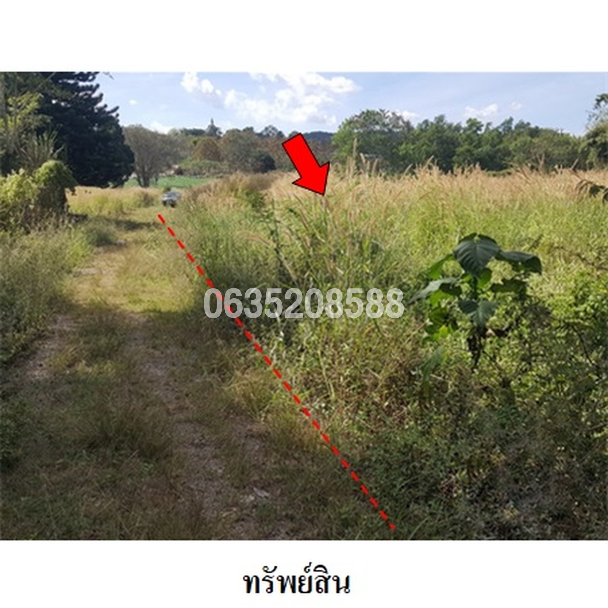 ขายที่ดิน ฟอเรสฮิลล์ 1