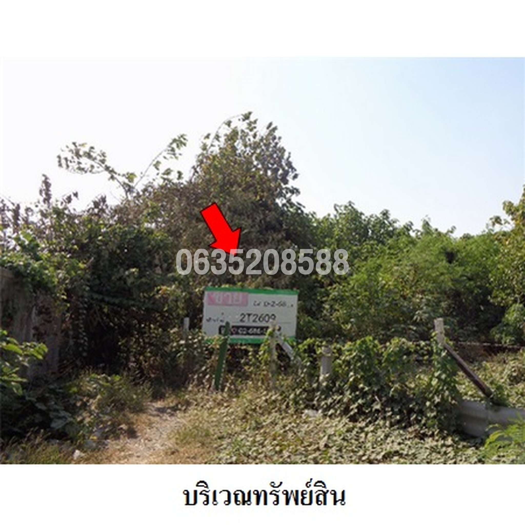 ทรัพย์สถาบันโดย บริษัท บริหารสินทรัพย์สุขุมวิท จำกัด ที่ดิน ธาราทิพย์