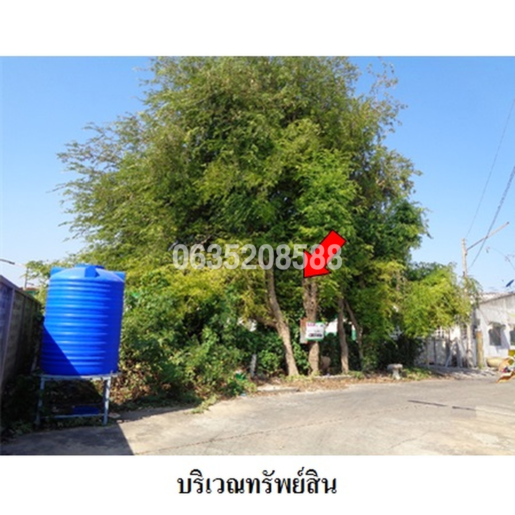 ทรัพย์สถาบันโดย บริษัท บริหารสินทรัพย์สุขุมวิท จำกัด ที่ดิน ธาราทิพย์