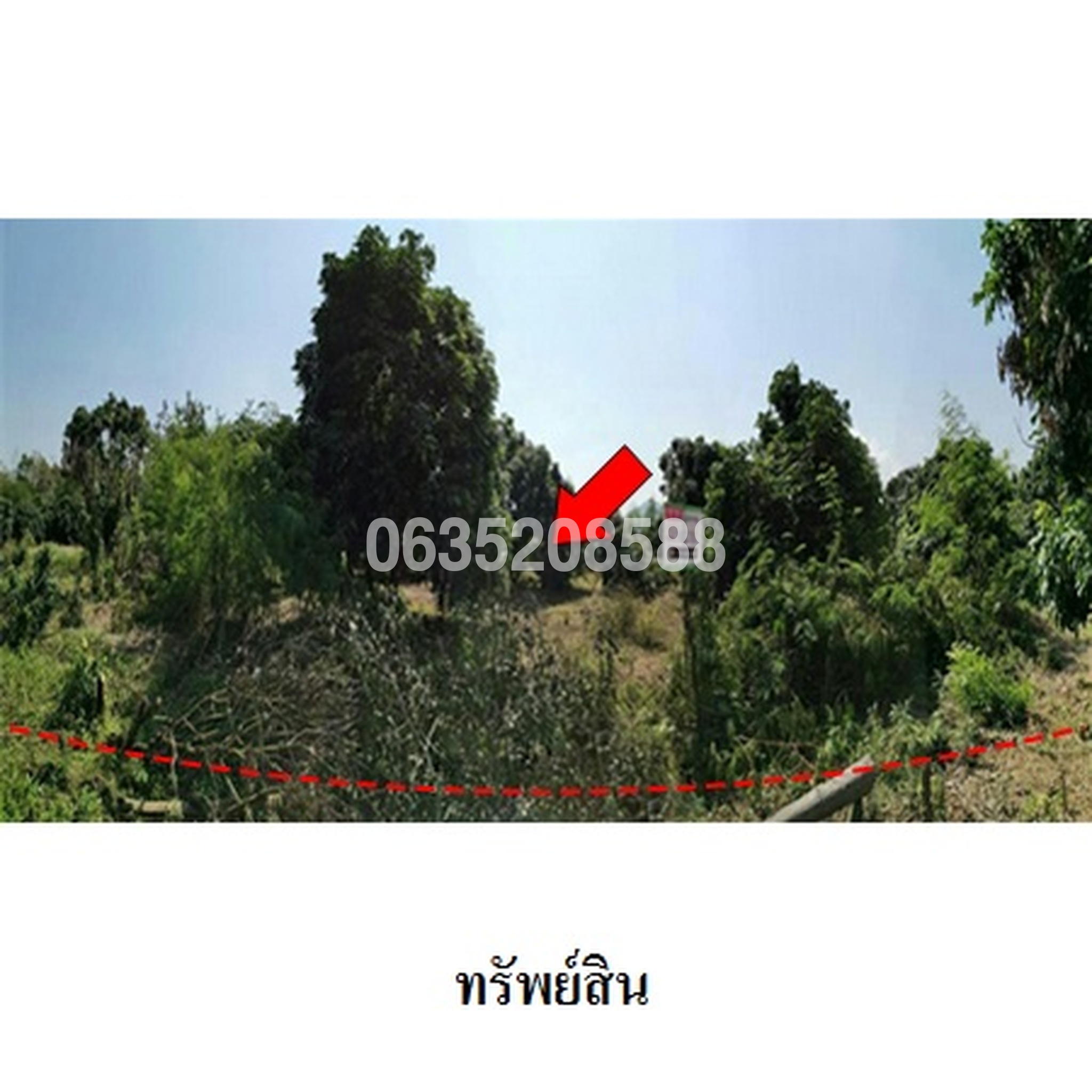 ขายที่ดิน ถนนรพช.สายบ้านถ้ำตรง
