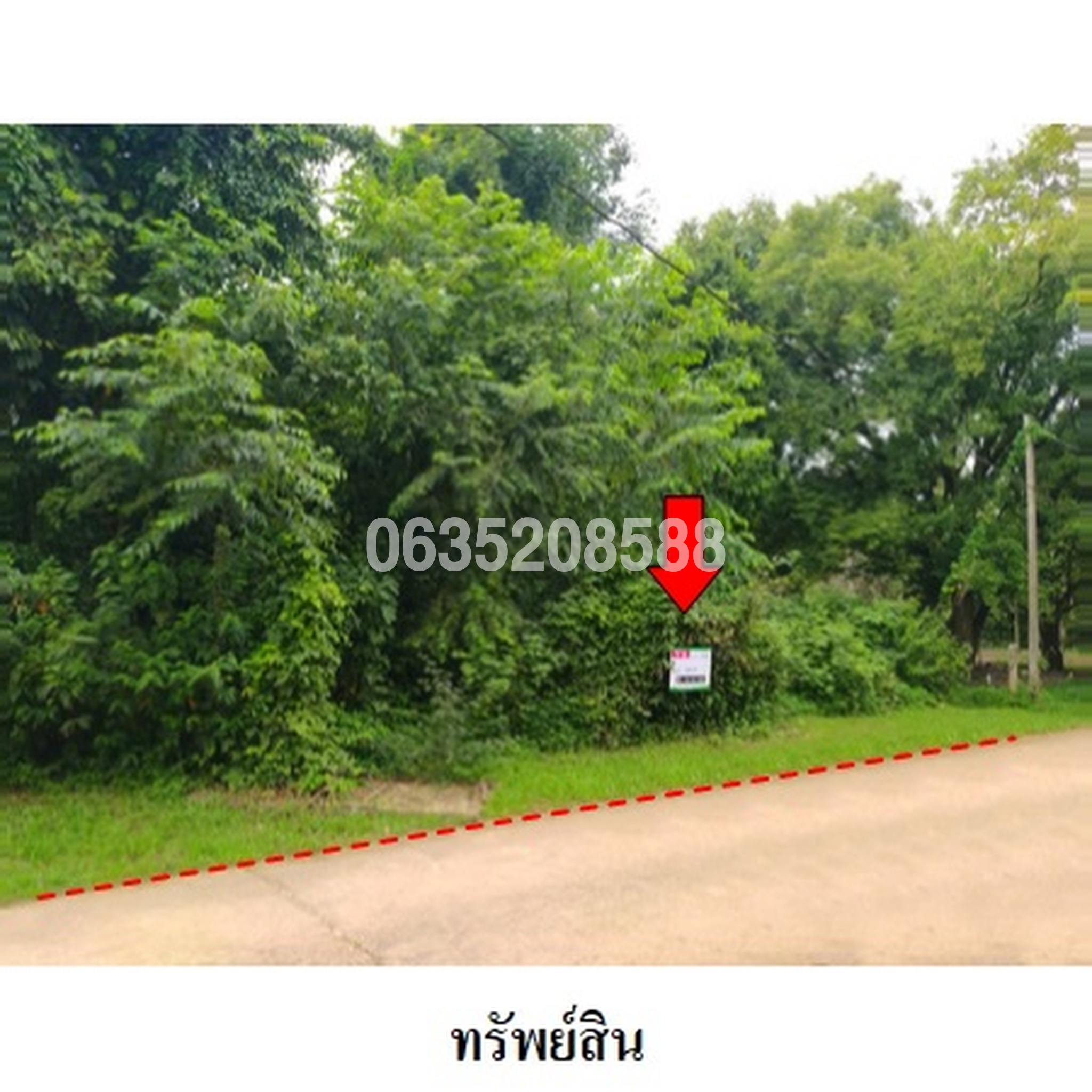 ขายที่ดิน ถนนถนนกาญจนวนิช (ทล.407)