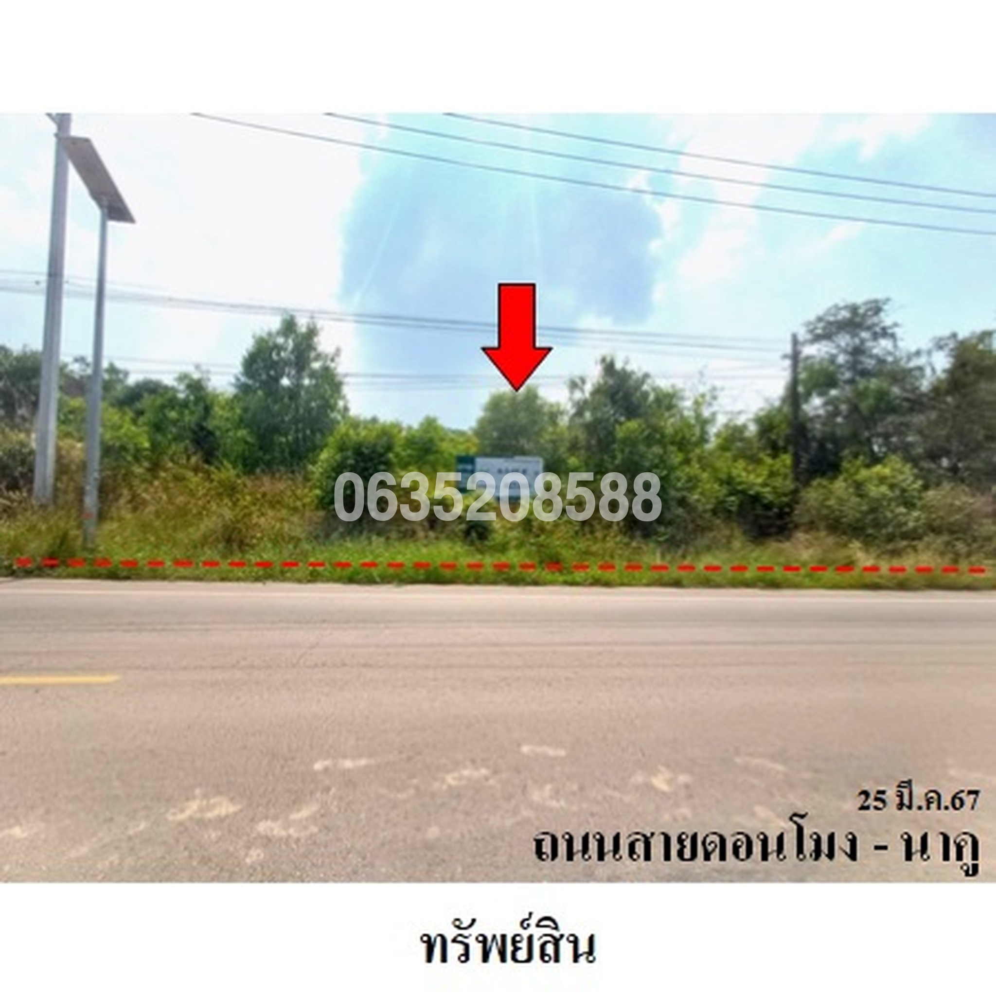 ขายที่ดิน ถนนสายดอนโมง-นาคู
