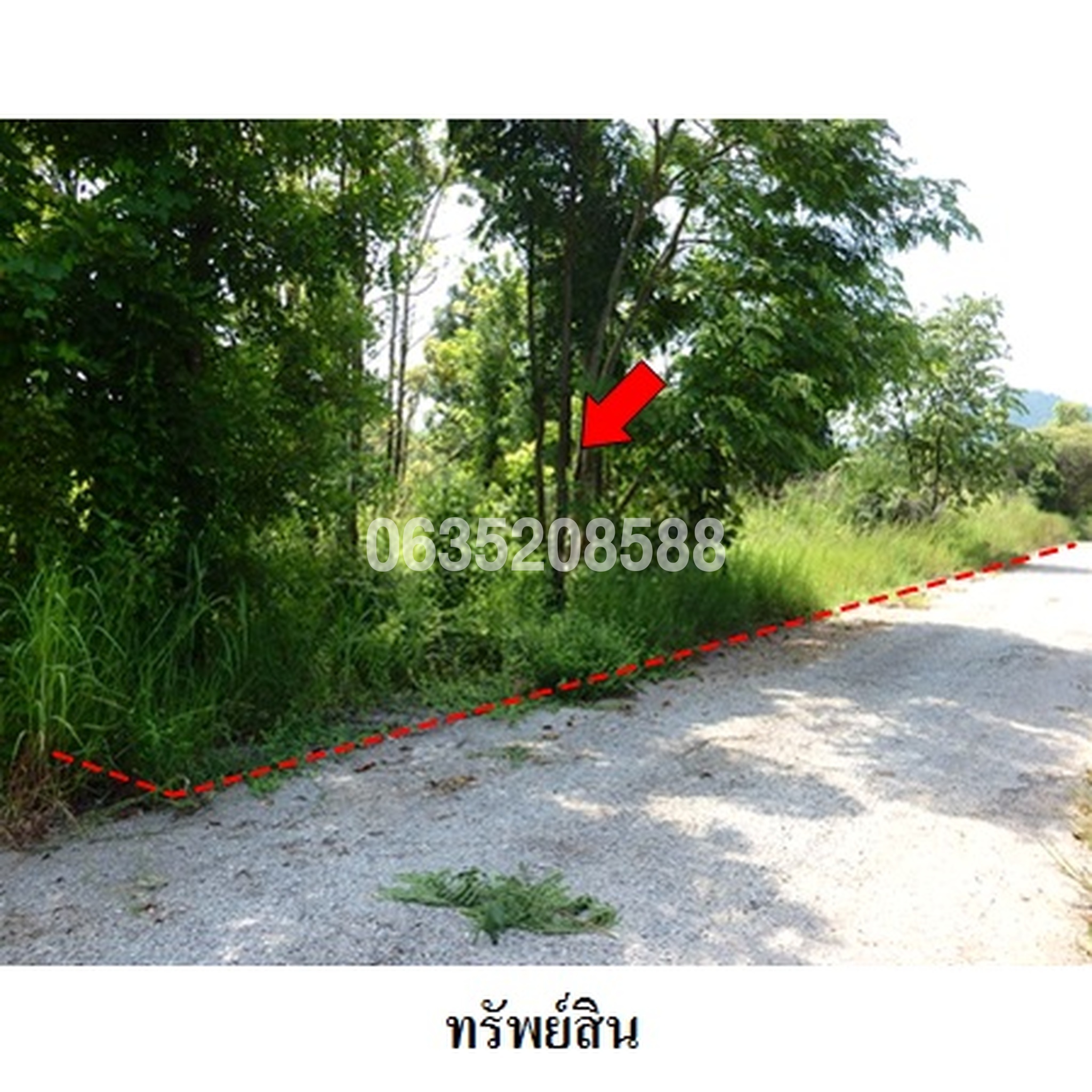 ขายที่ดิน เพชรบูรณ์ฮิลล์ แอนด์ การ์เด้น