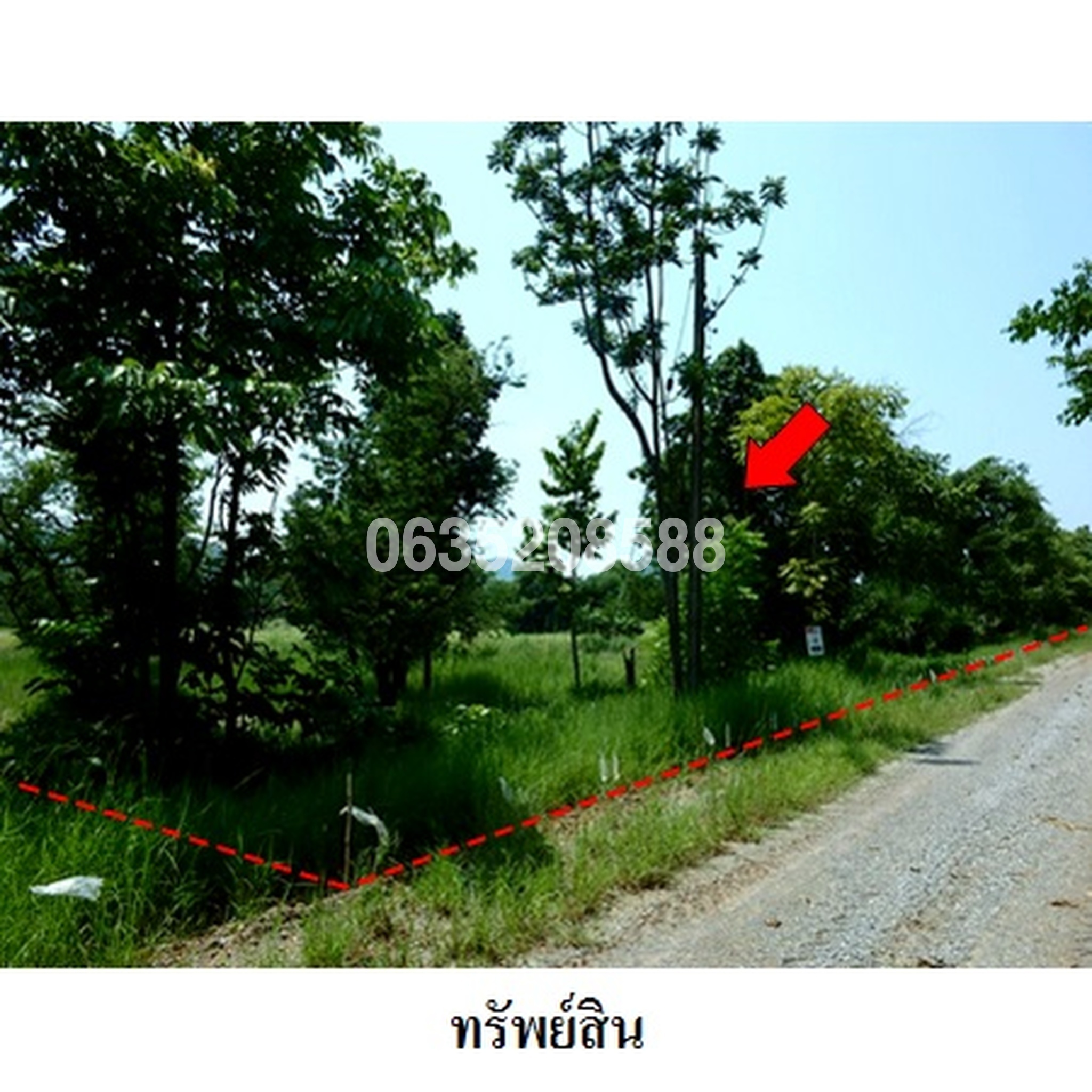 ขายที่ดิน เพชรบูรณ์ฮิลล์ แอนด์ การ์เด้น