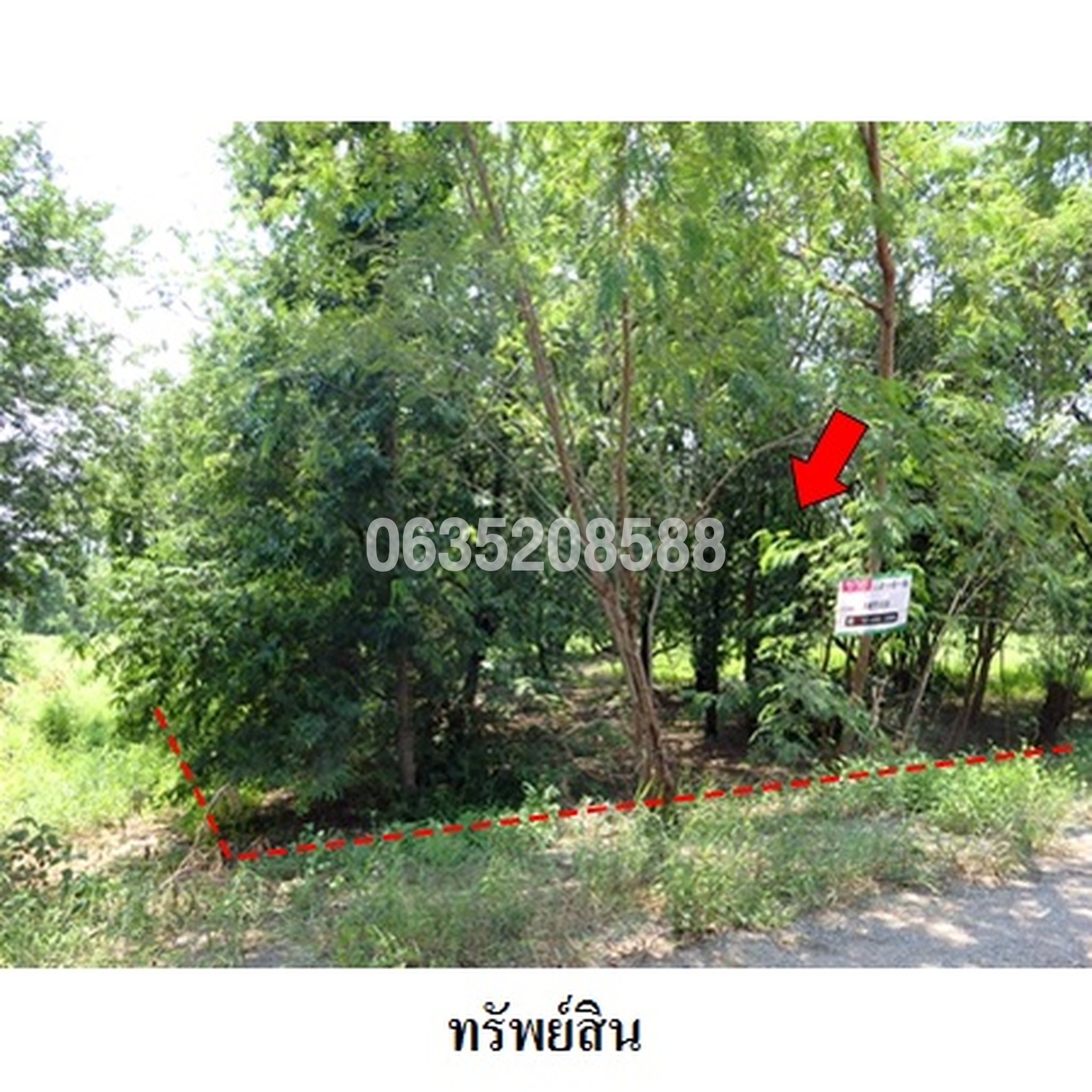 ขายที่ดิน เพชรบูรณ์ฮิลล์ แอนด์ การ์เด้น