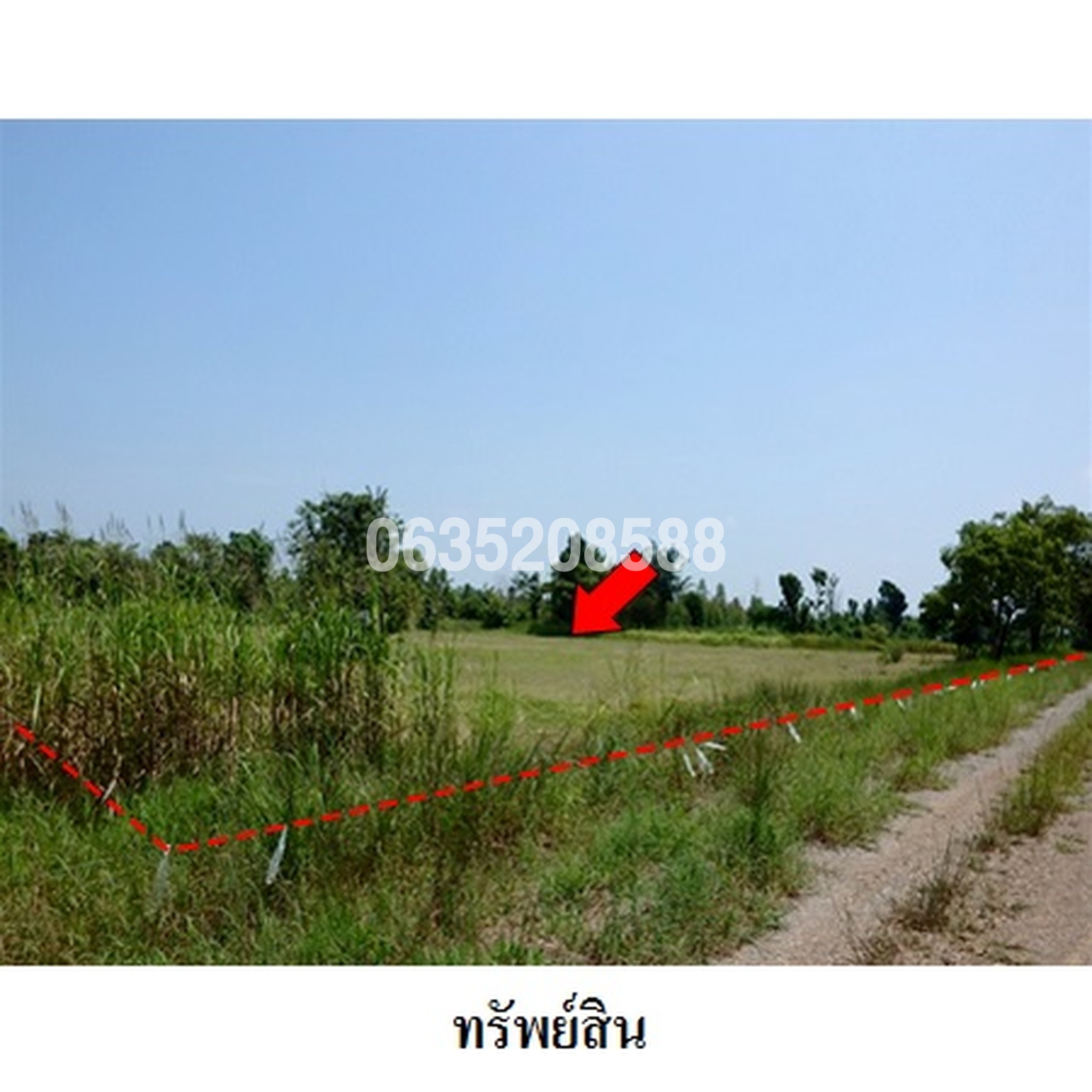 ขายที่ดิน เพชรบูรณ์ฮิลล์ แอนด์ การ์เด้น