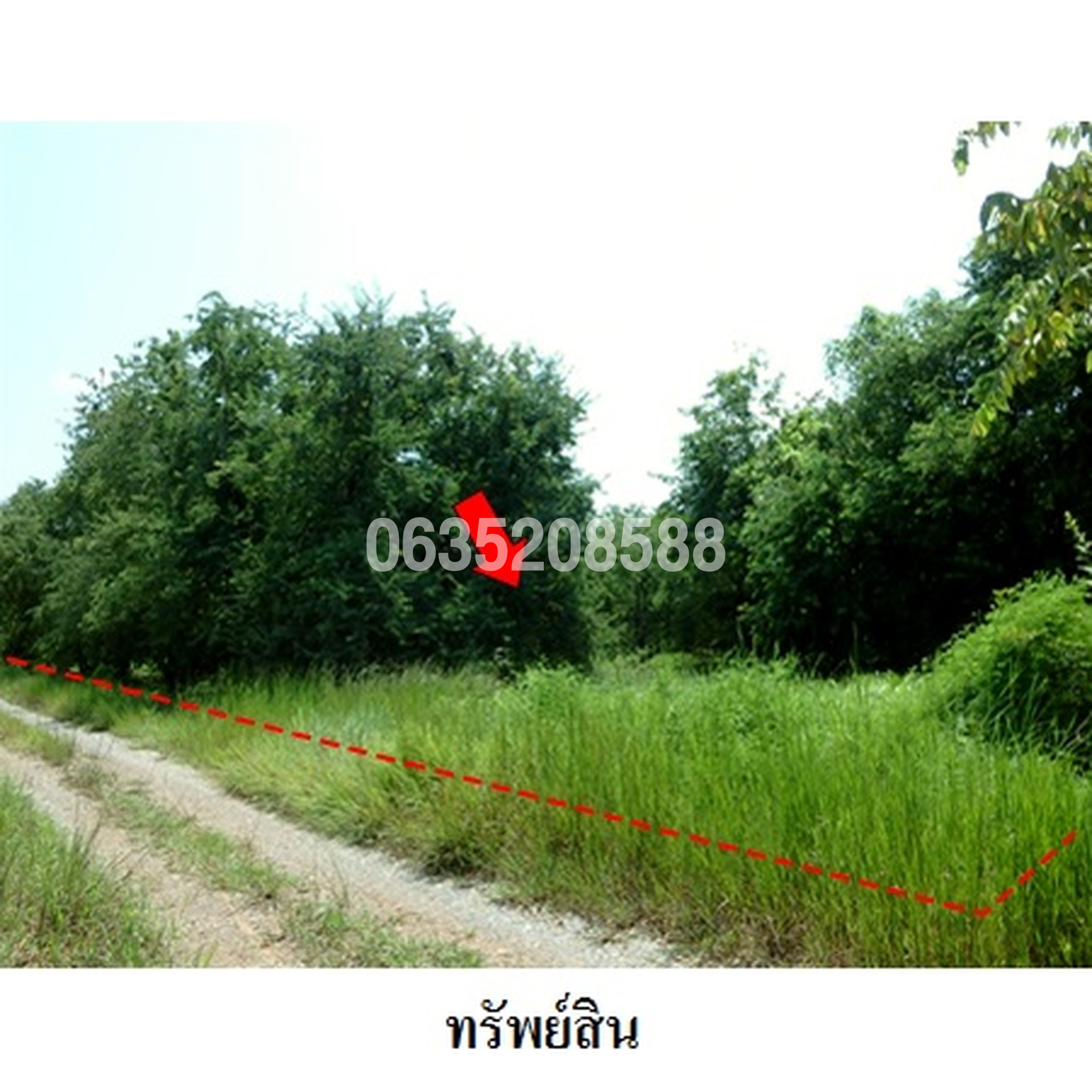 ขายที่ดิน เพชรบูรณ์ฮิลล์ แอนด์ การ์เด้น