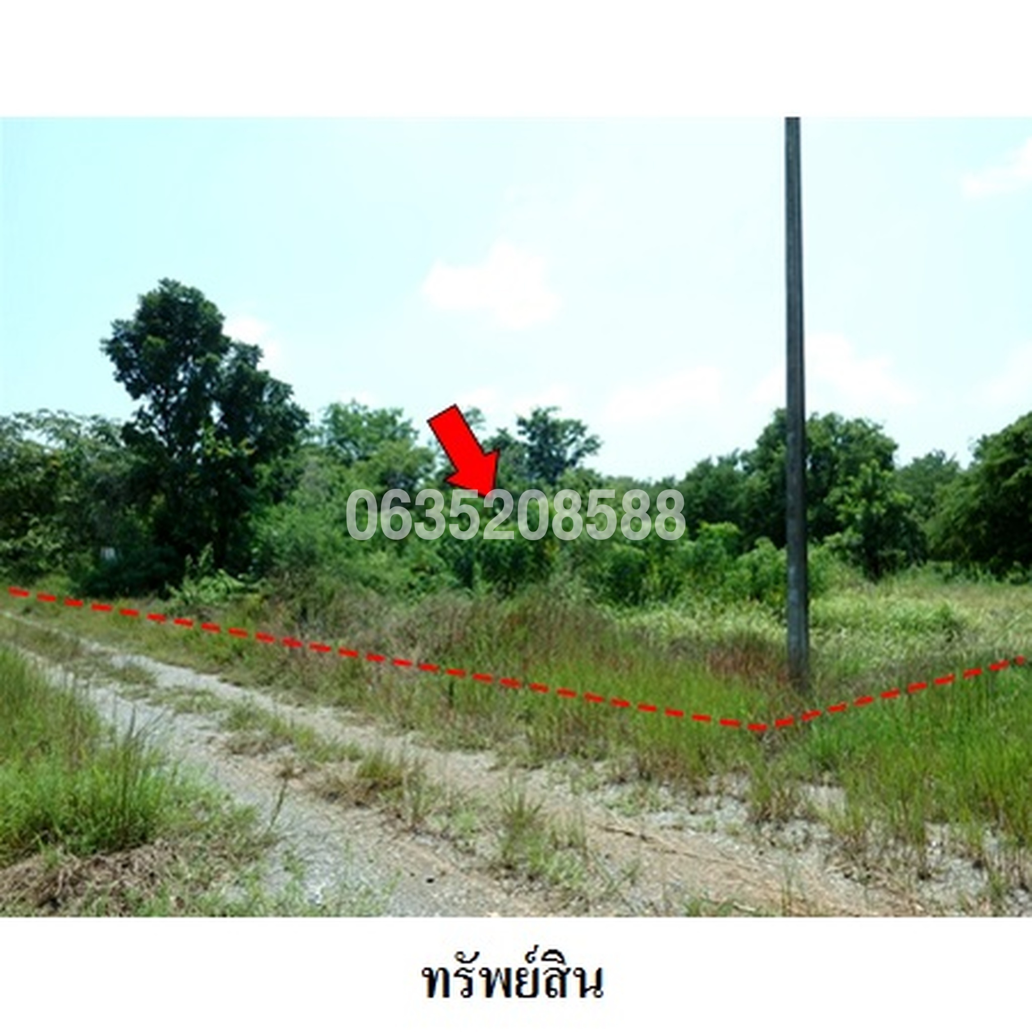 ขายที่ดิน เพชรบูรณ์ฮิลล์ แอนด์ การ์เด้น